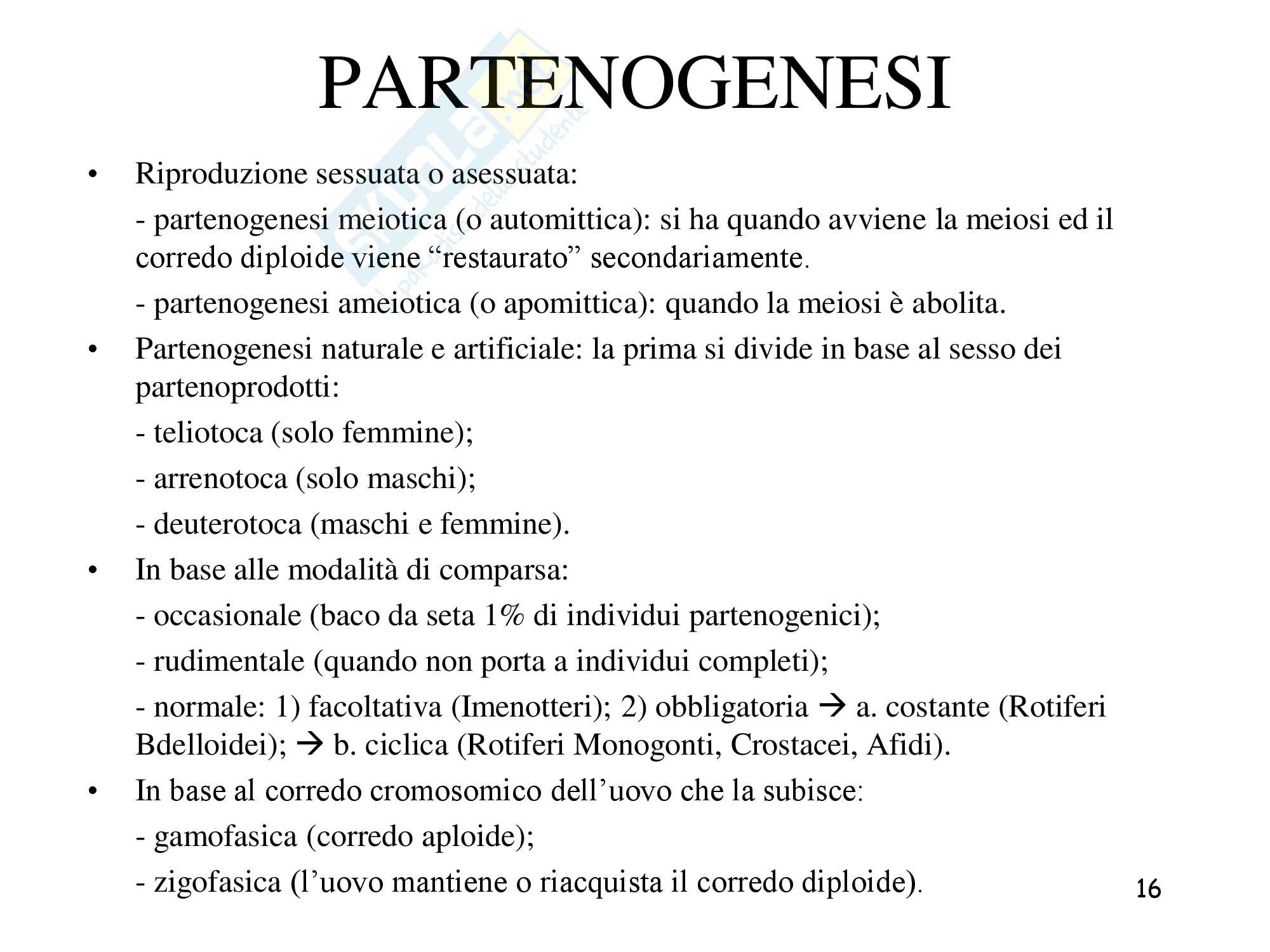 Riproduzione nei metazoi, seconda parte, zoologia, scienze biologiche Pag. 16