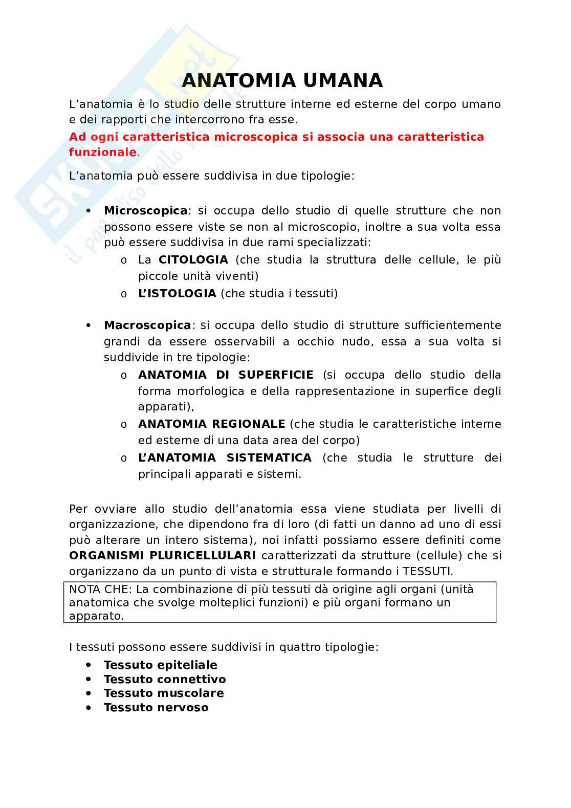 Appunti presi a lezione di Anatomia umana   Pag. 1