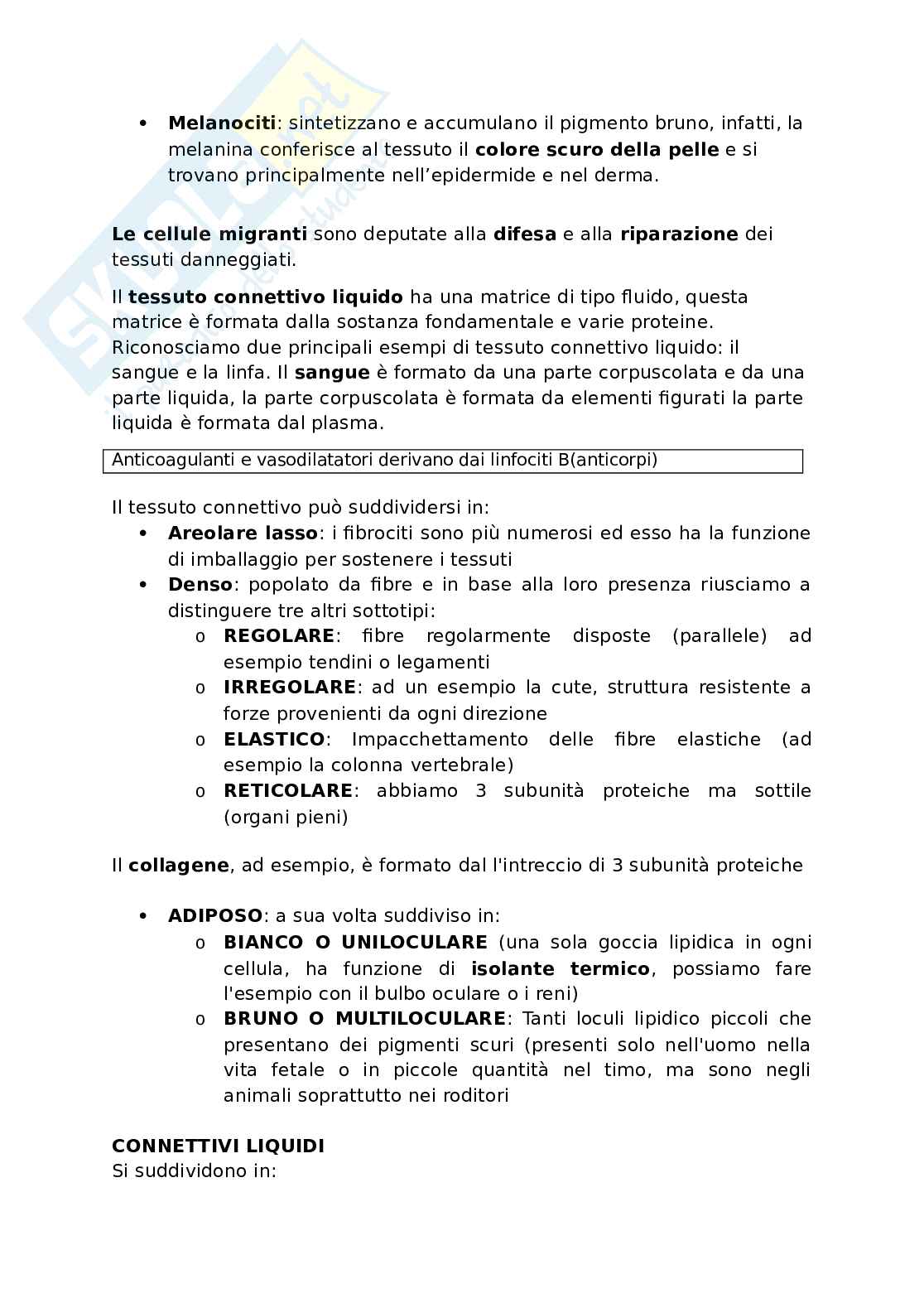 Appunti presi a lezione di Anatomia umana   Pag. 11