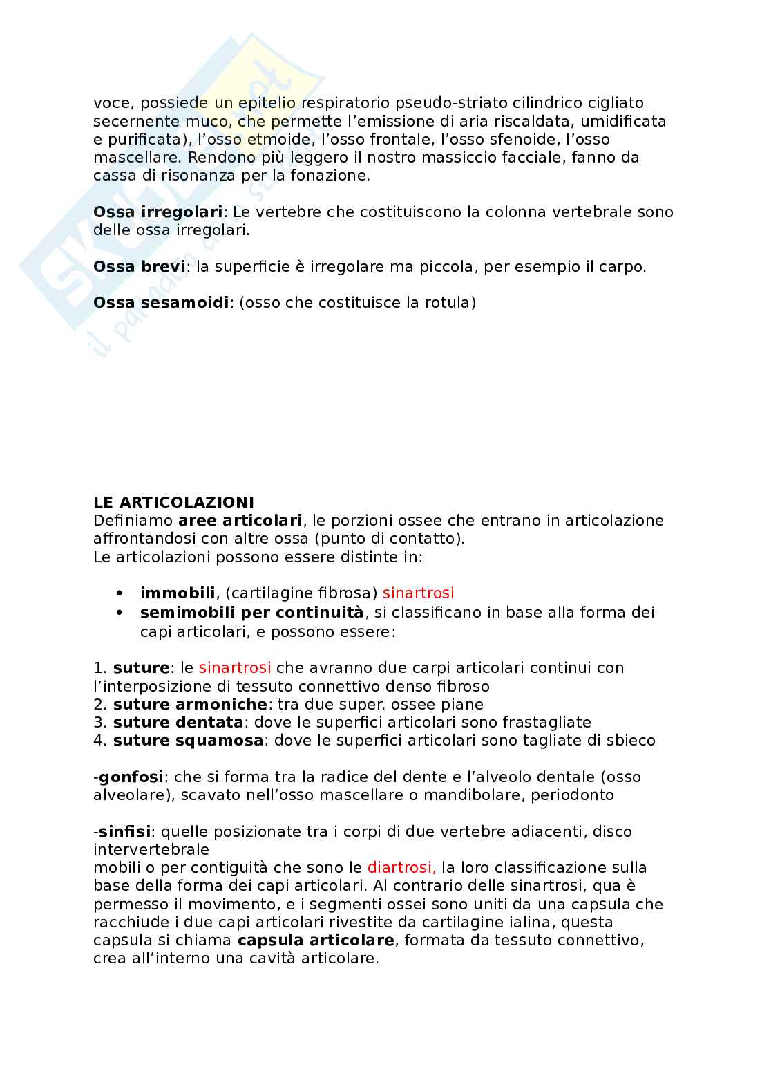 Appunti presi a lezione di Anatomia umana   Pag. 21