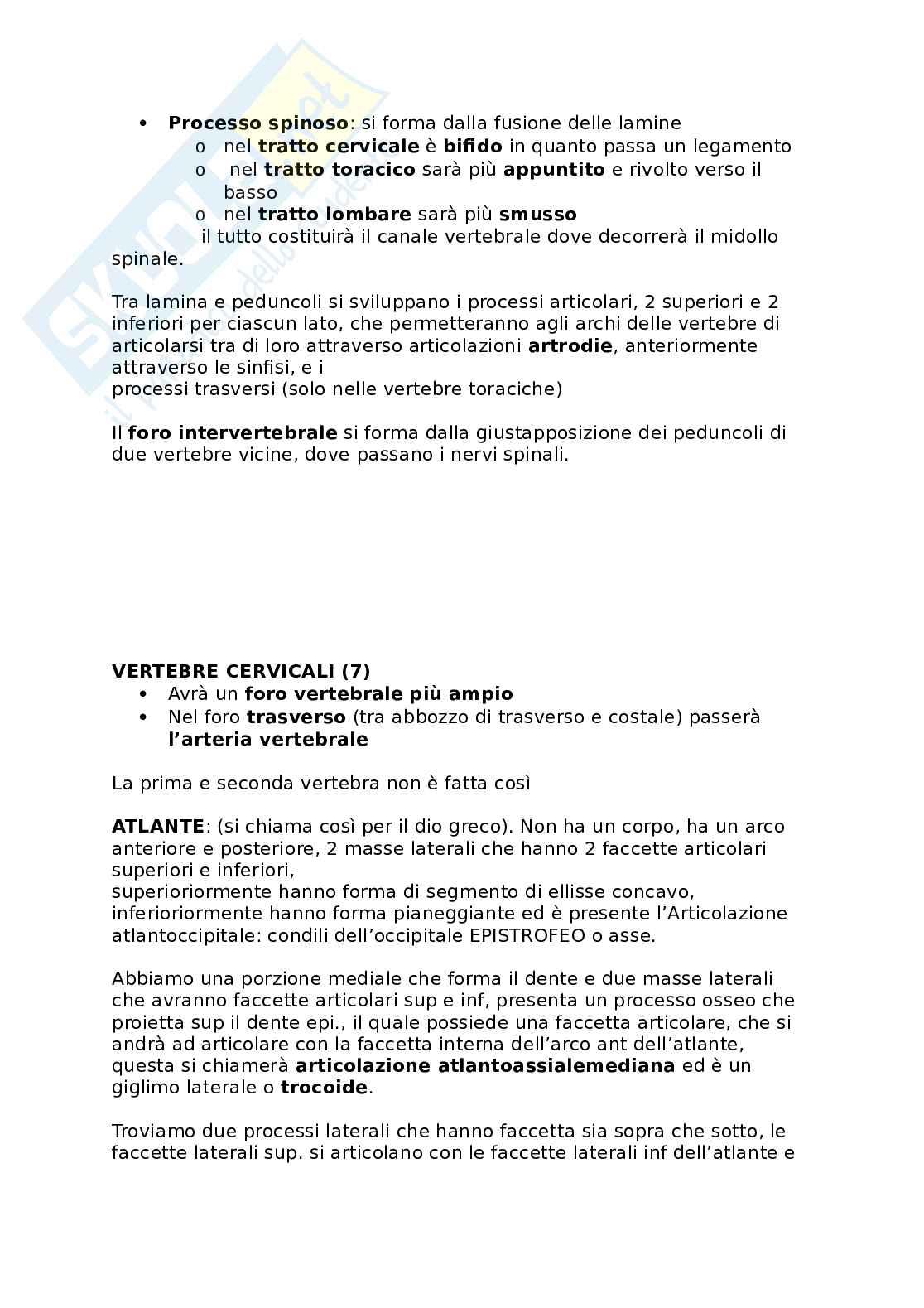 Appunti presi a lezione di Anatomia umana   Pag. 26