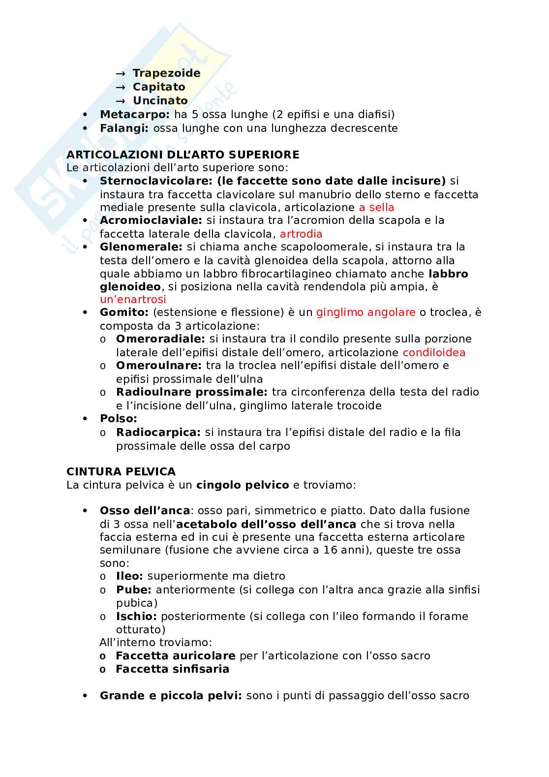Appunti presi a lezione di Anatomia umana   Pag. 31