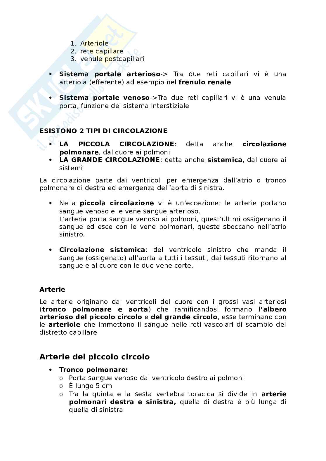 Appunti presi a lezione di Anatomia umana   Pag. 41