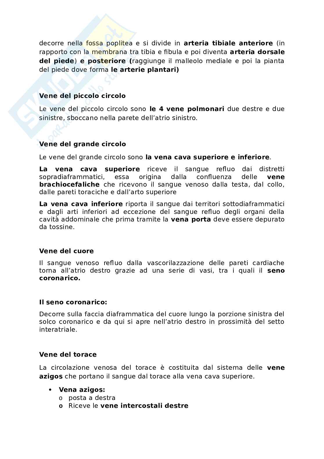 Appunti presi a lezione di Anatomia umana   Pag. 46
