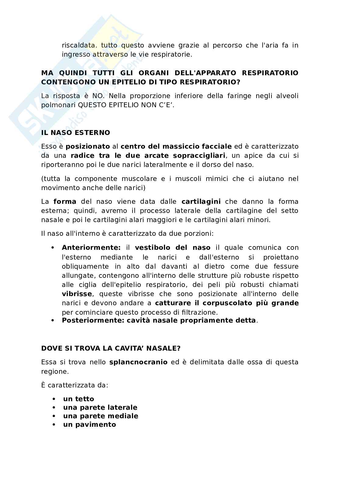 Appunti presi a lezione di Anatomia umana   Pag. 51