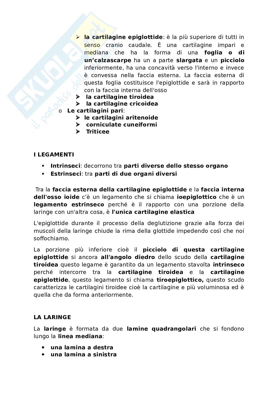 Appunti presi a lezione di Anatomia umana   Pag. 56