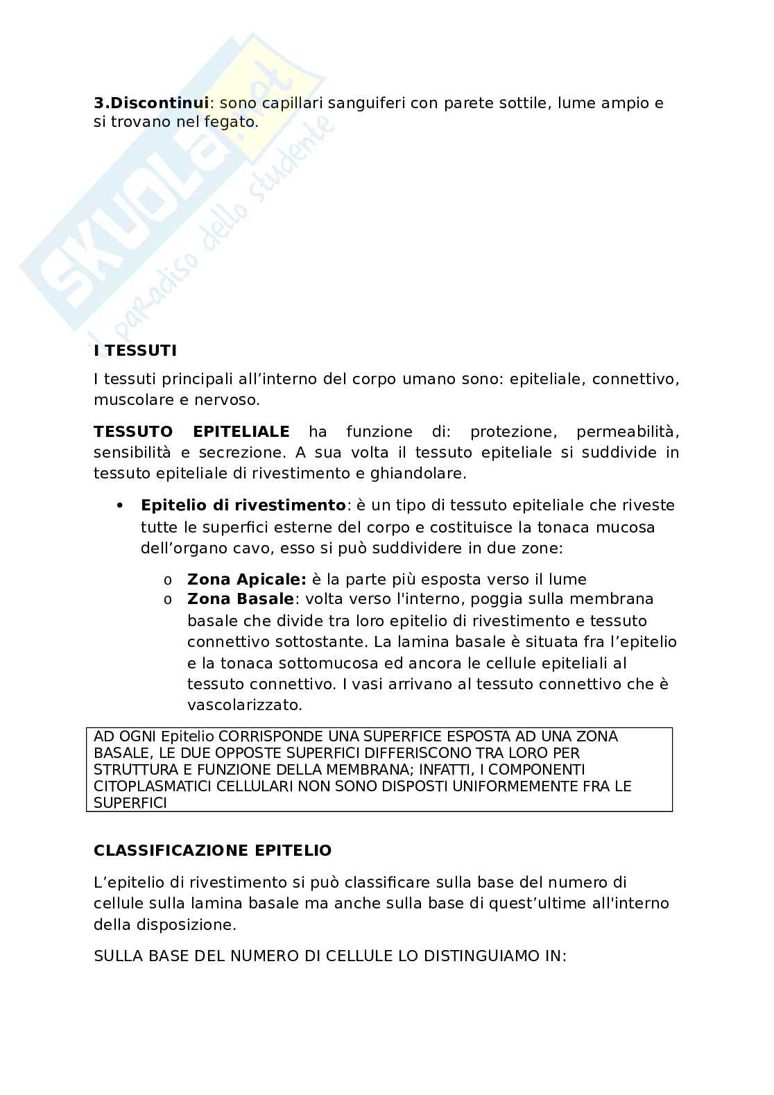Appunti presi a lezione di Anatomia umana   Pag. 6