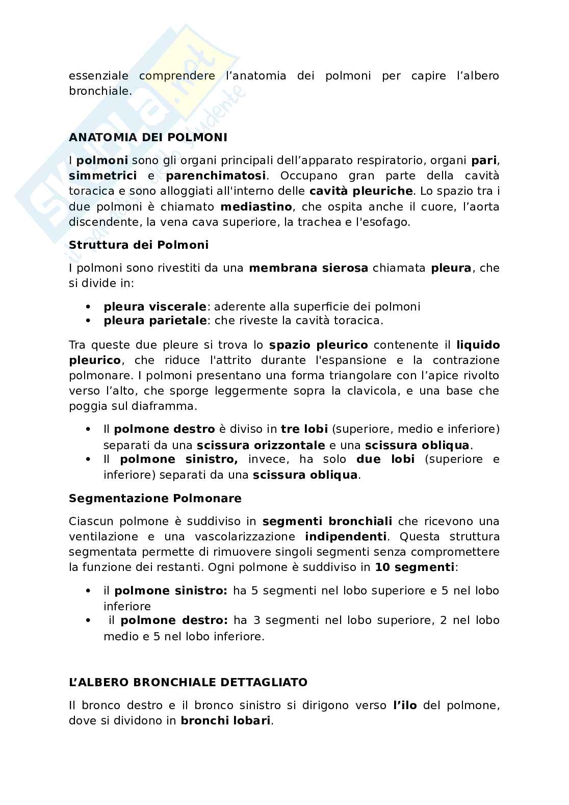 Appunti presi a lezione di Anatomia umana   Pag. 61