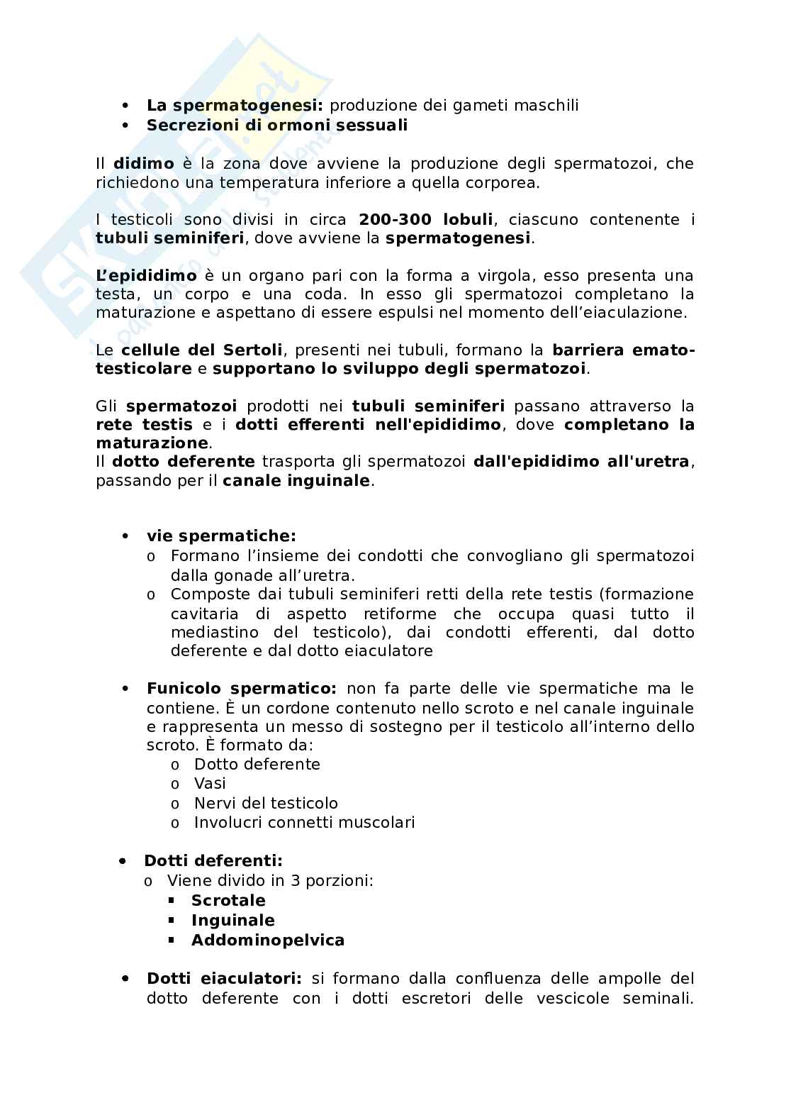 Appunti presi a lezione di Anatomia umana   Pag. 76