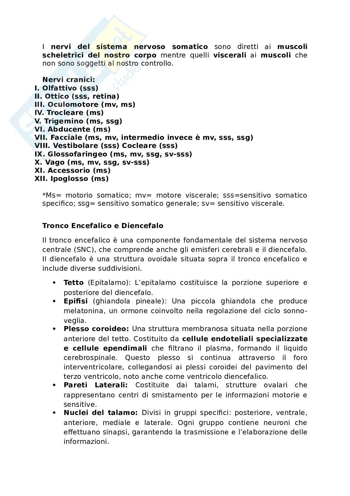 Appunti presi a lezione di Anatomia umana   Pag. 86