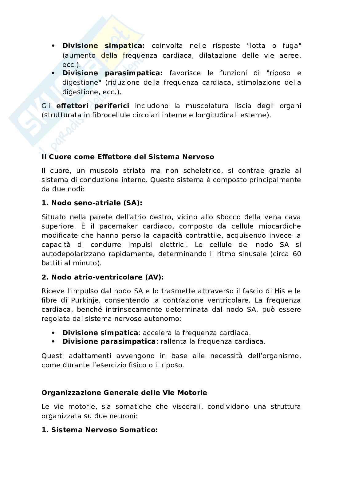 Appunti presi a lezione di Anatomia umana   Pag. 91