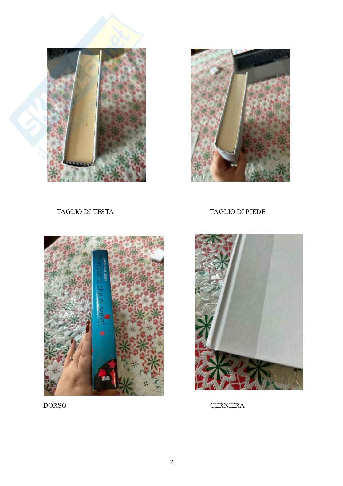 Esercitazione obbligatoria del Laboratorio di ricerca bibliografica Pag. 2