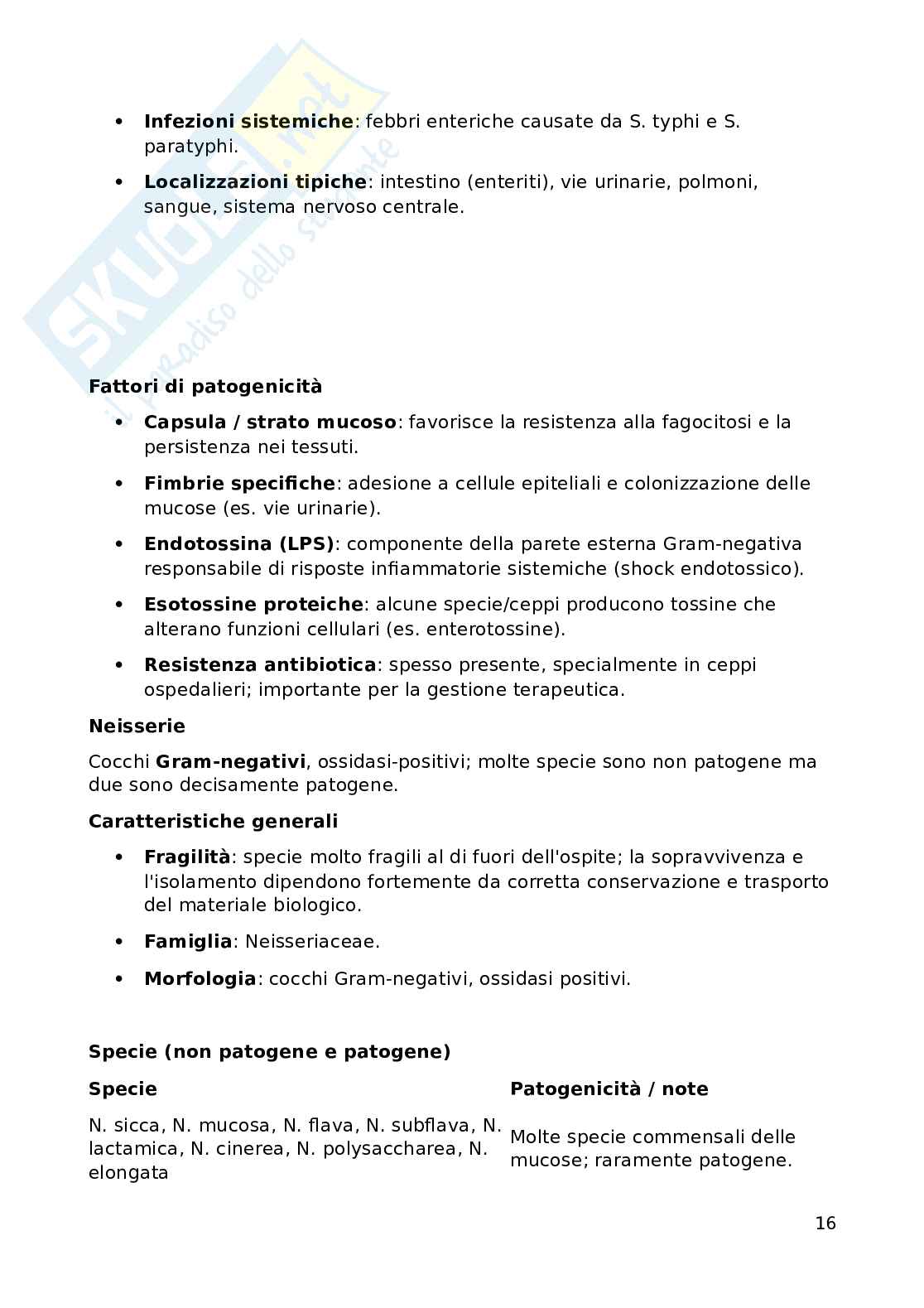 Batteriologia - microbiologia Pag. 16