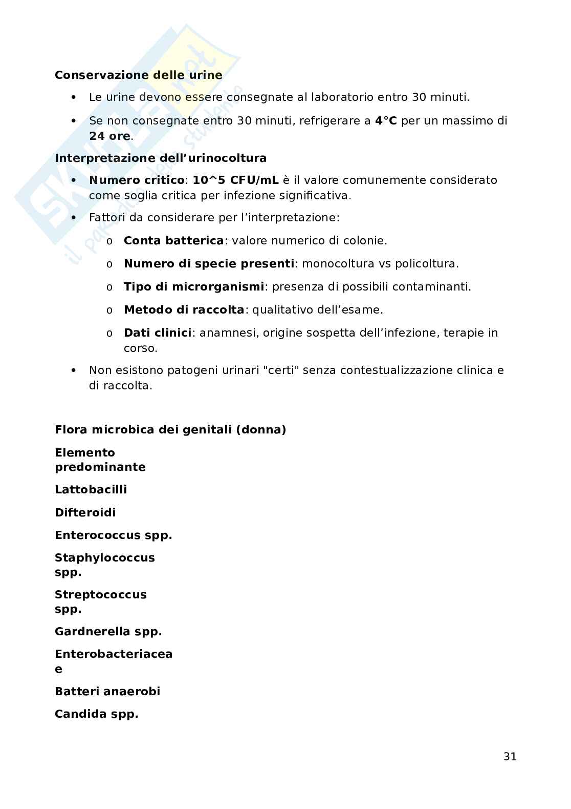 Batteriologia - microbiologia Pag. 31