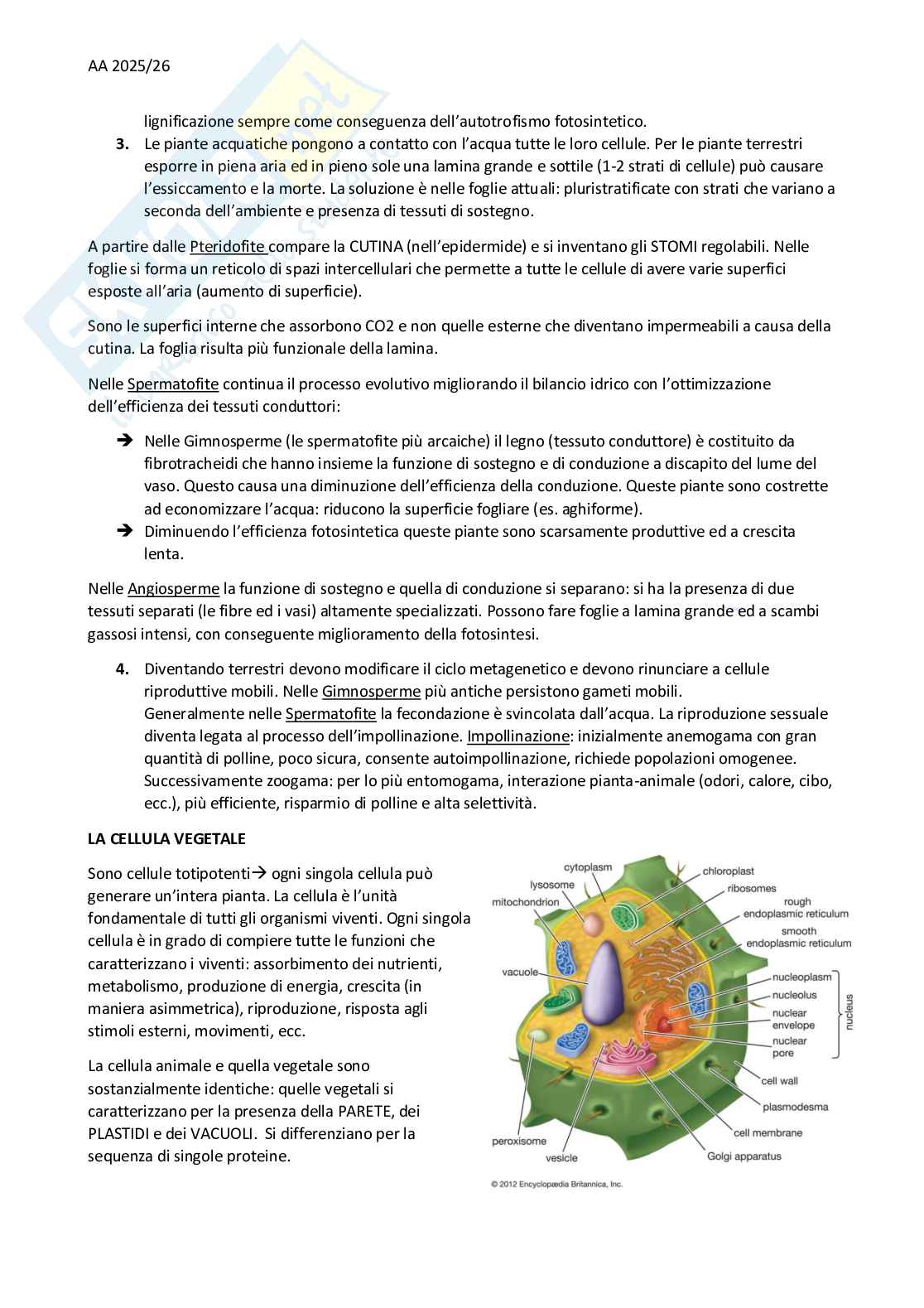 Appunti Botanica - primo parziale Pag. 11
