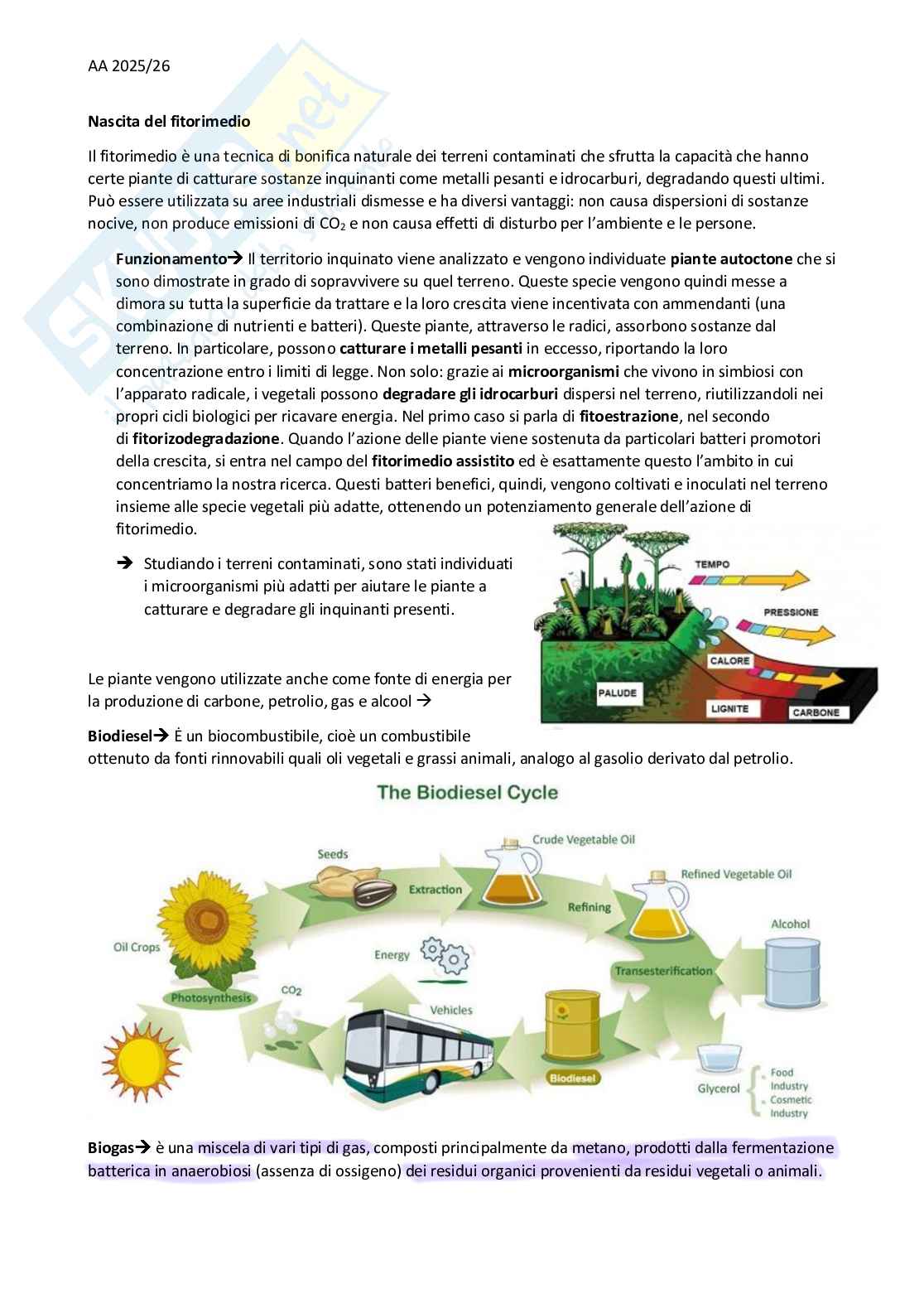 Appunti Botanica - primo parziale Pag. 2