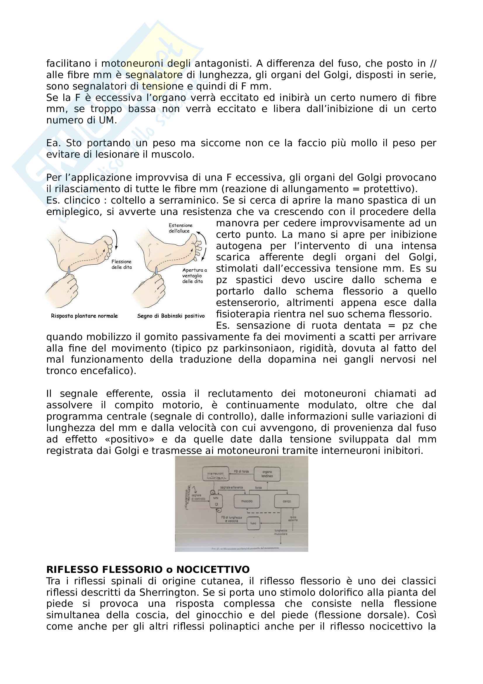 Controllo del movimento Pag. 6