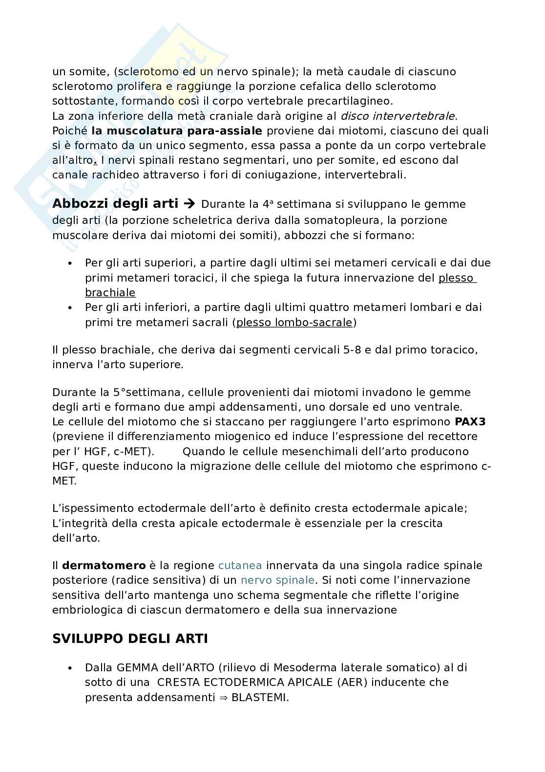 Riassunto esame Istologia ed embriologia umana, Prof. Della Corte Francesco Giuseppe, libro consigliato Istologia, Monesi Pag. 6