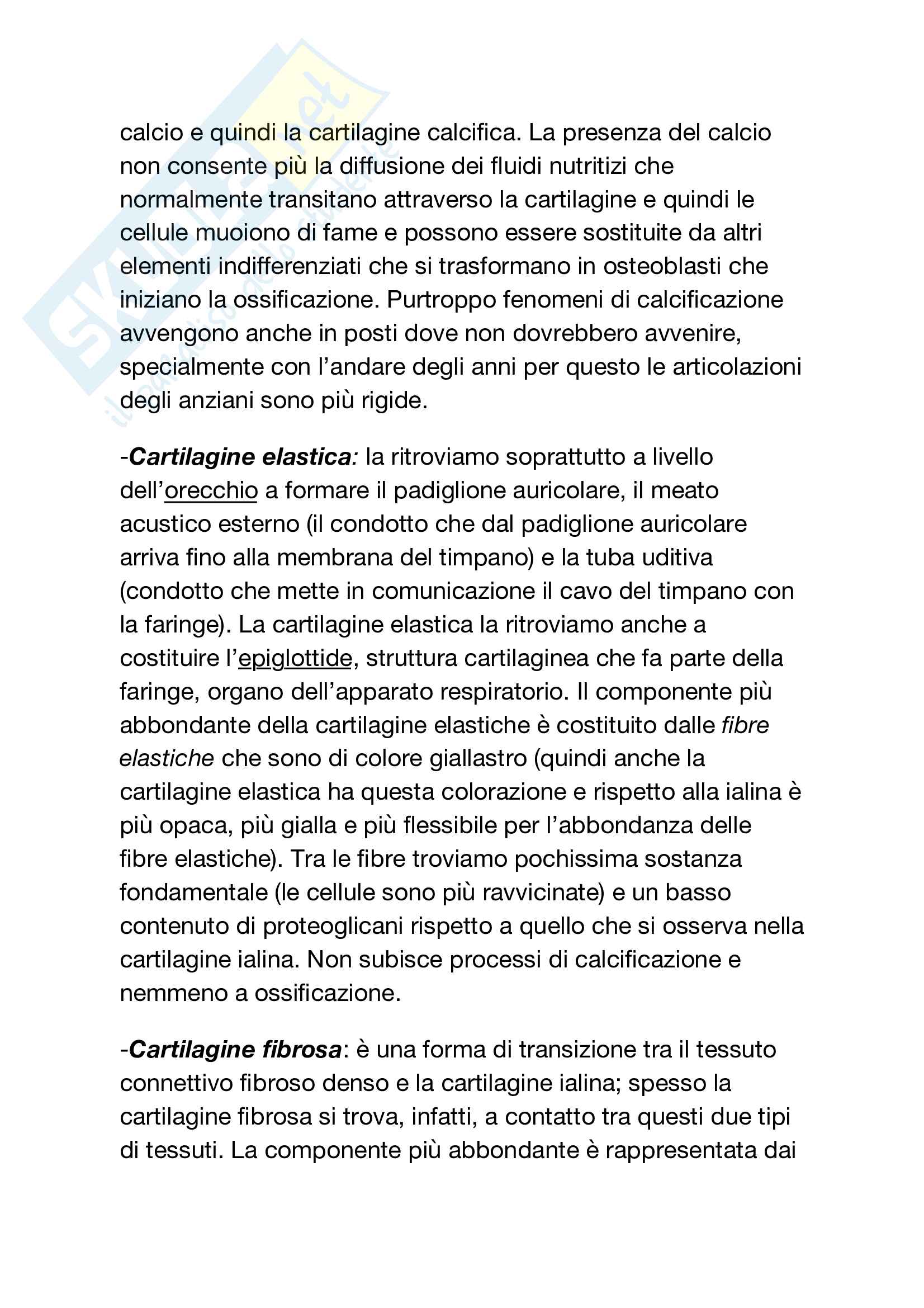 Tessuto connettivo Pag. 16