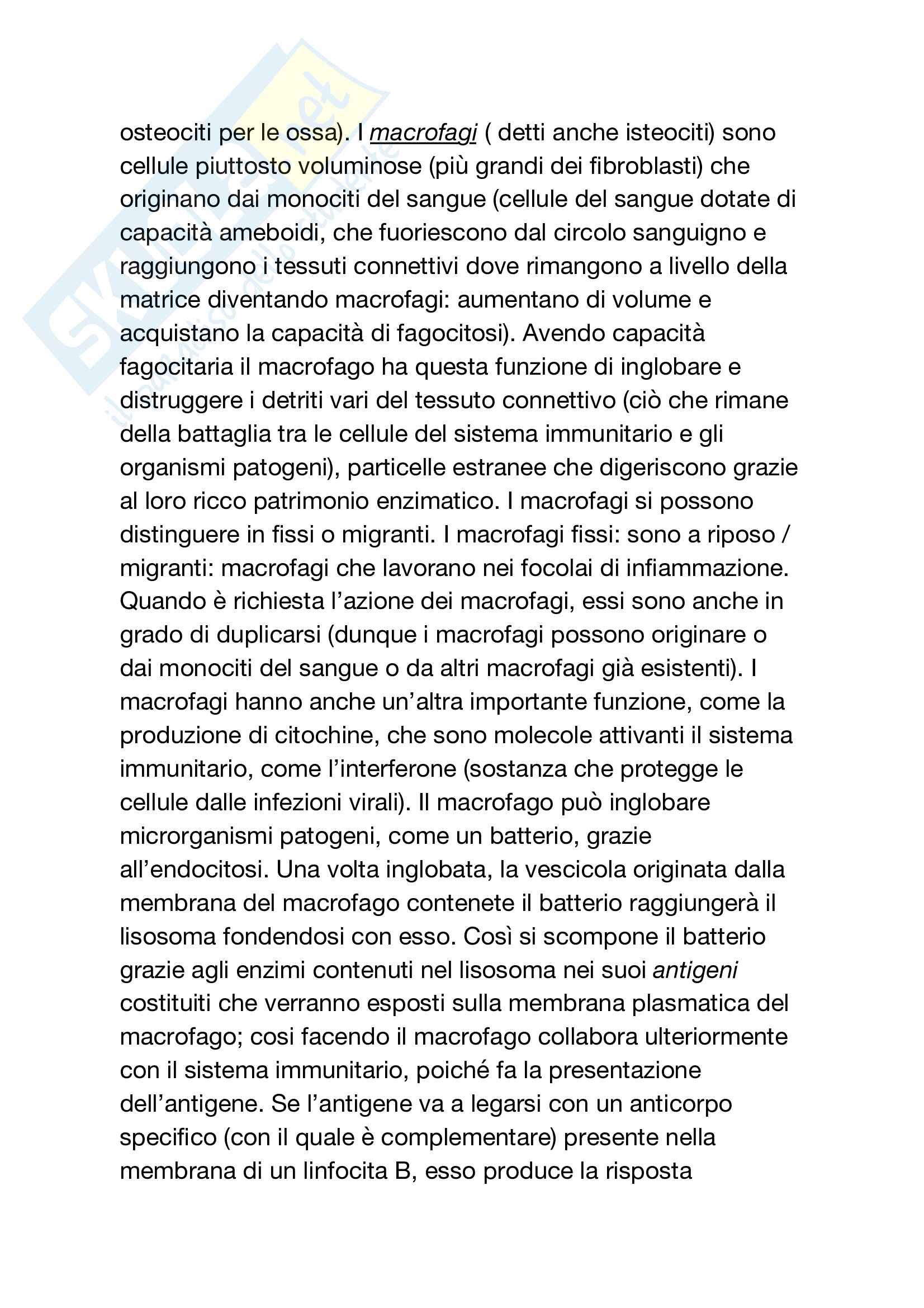 Tessuto connettivo Pag. 6