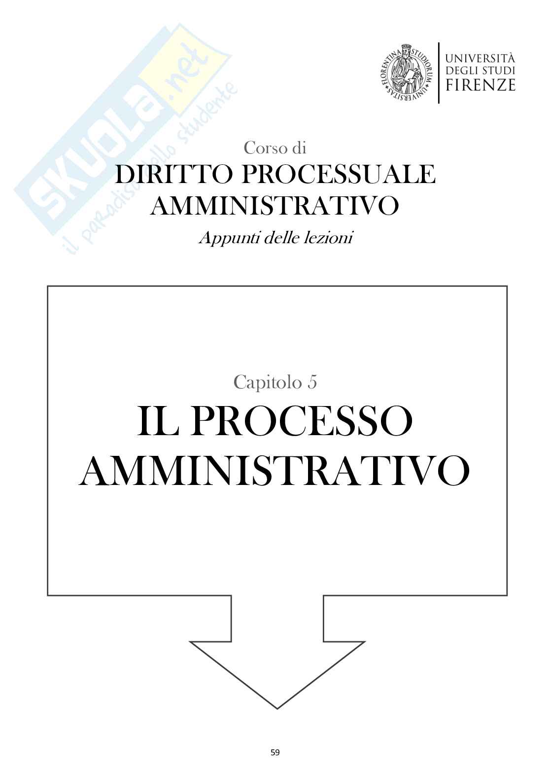 Diritto processuale amministrativo (Il processo amministrativo)  Pag. 1