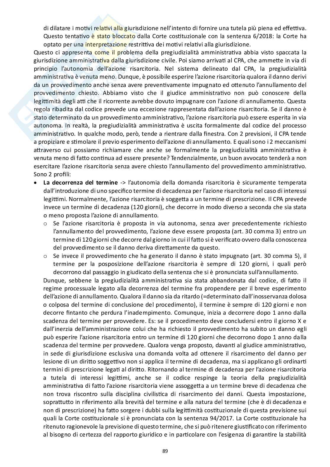 Diritto processuale amministrativo (Il processo amministrativo)  Pag. 31