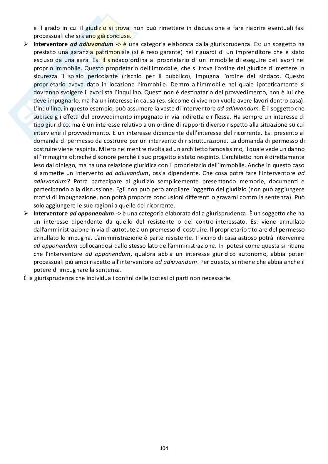 Diritto processuale amministrativo (Il processo amministrativo)  Pag. 46