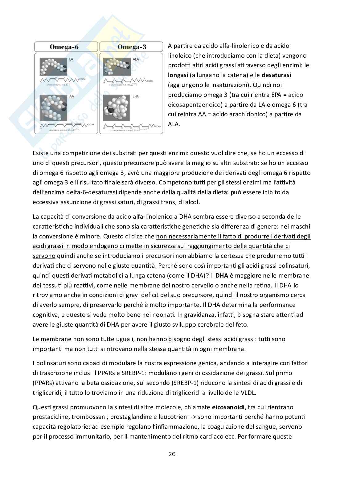 Appunti del corso Nutrizione applicata  Pag. 26