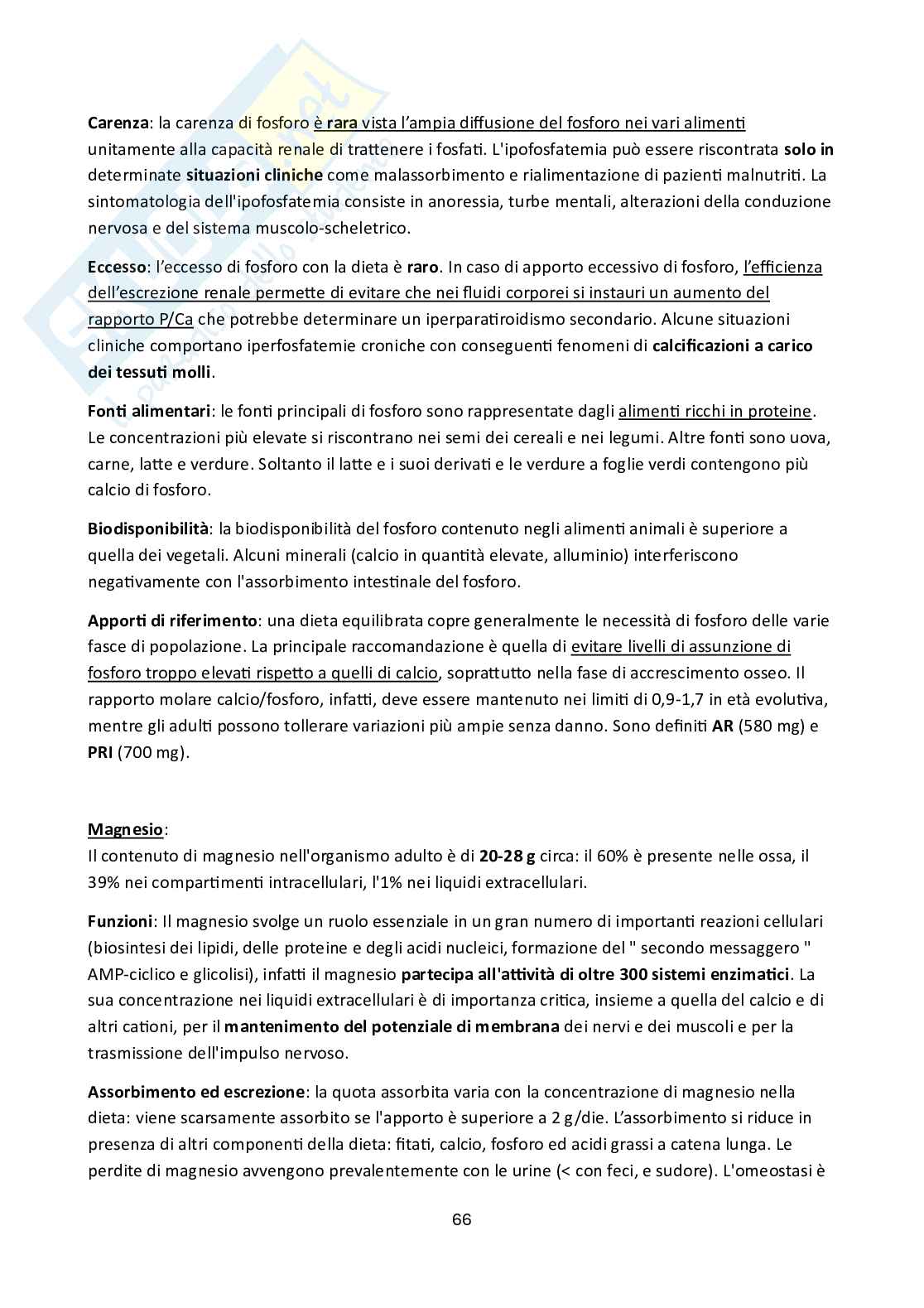 Appunti del corso Nutrizione applicata  Pag. 66