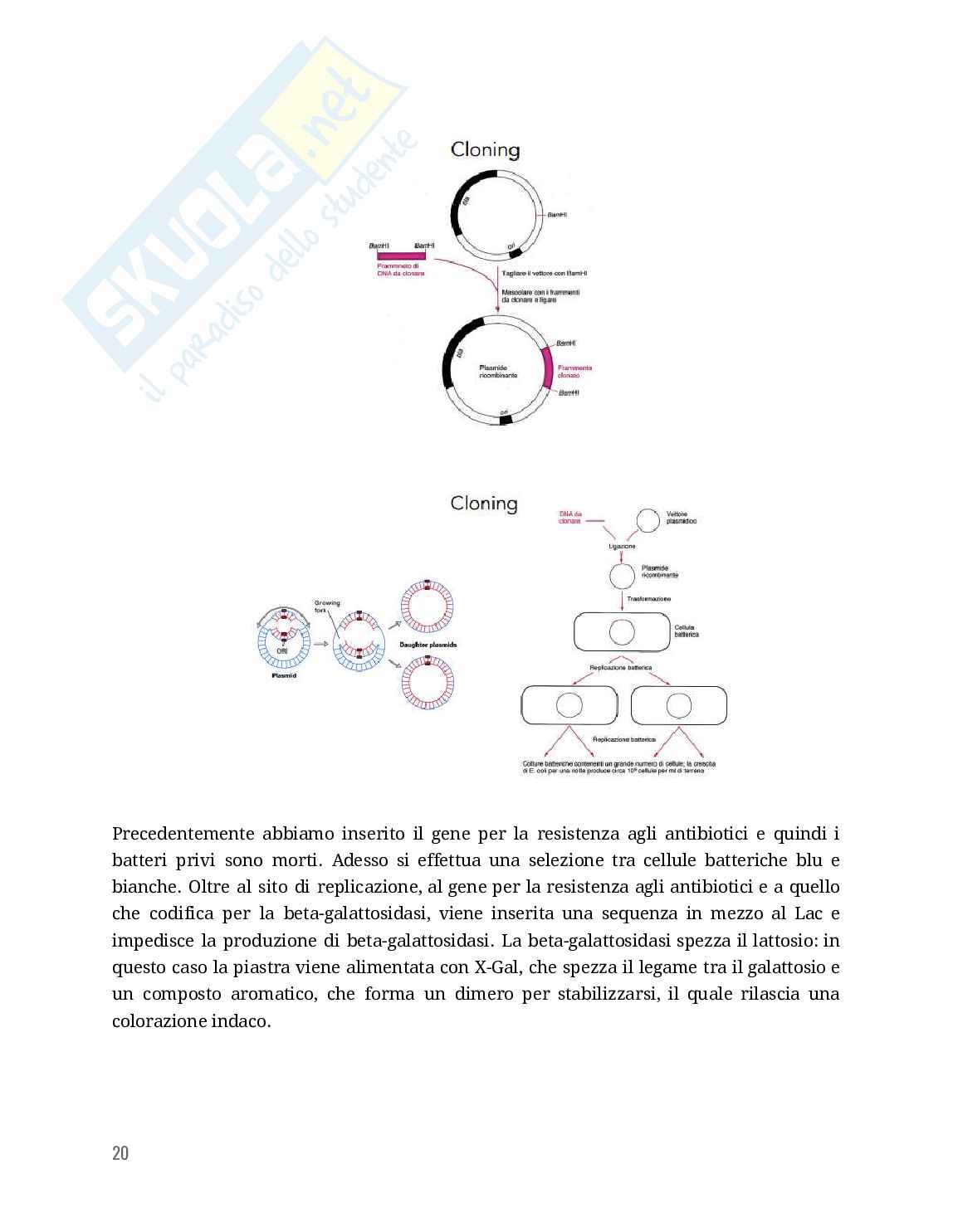 Biologia Molecolare Pag. 21