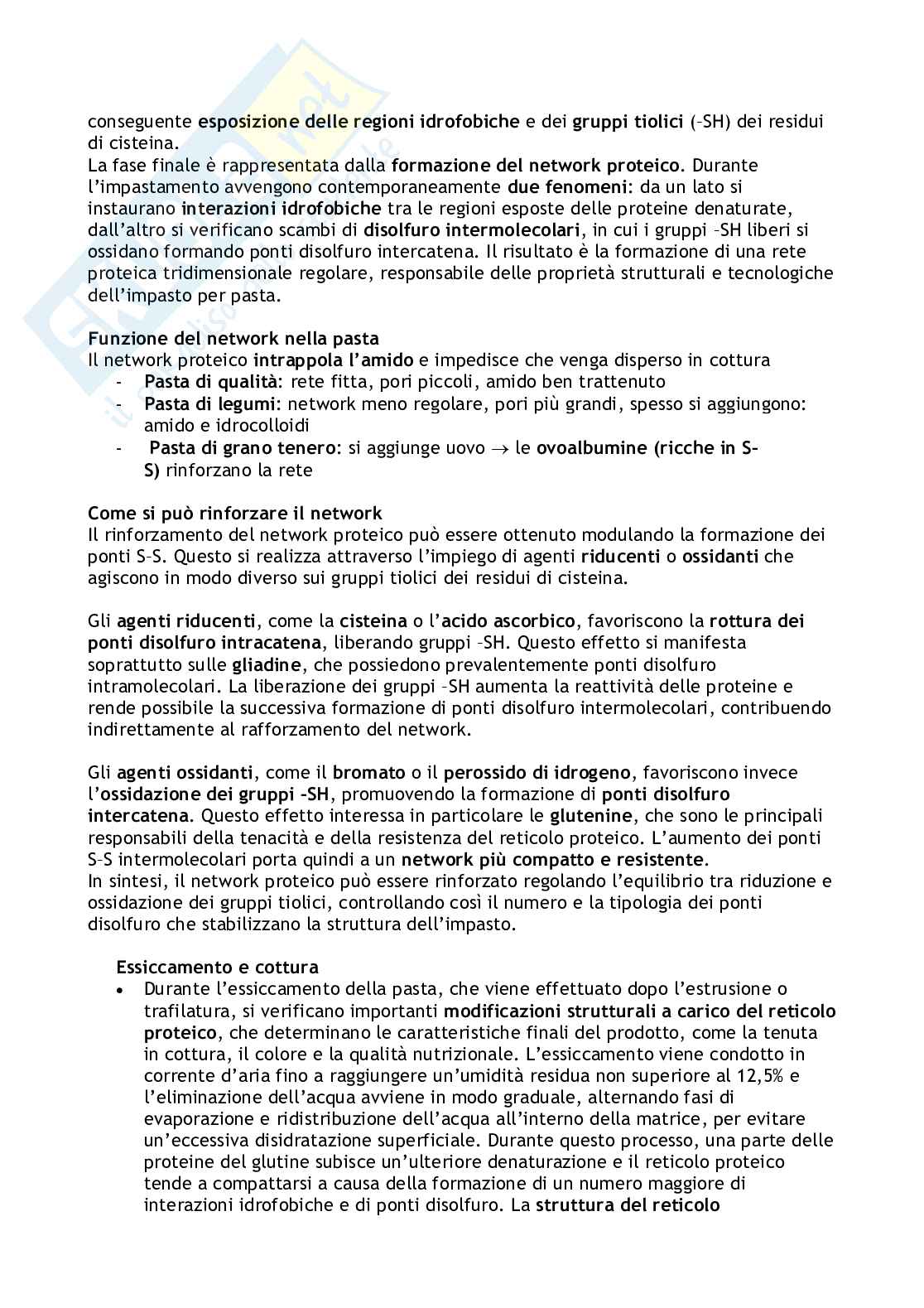 Biochimica degli alimenti e della nutrizione  Pag. 26
