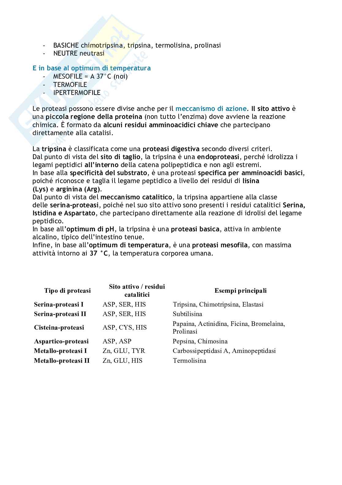 Biochimica degli alimenti e della nutrizione  Pag. 6