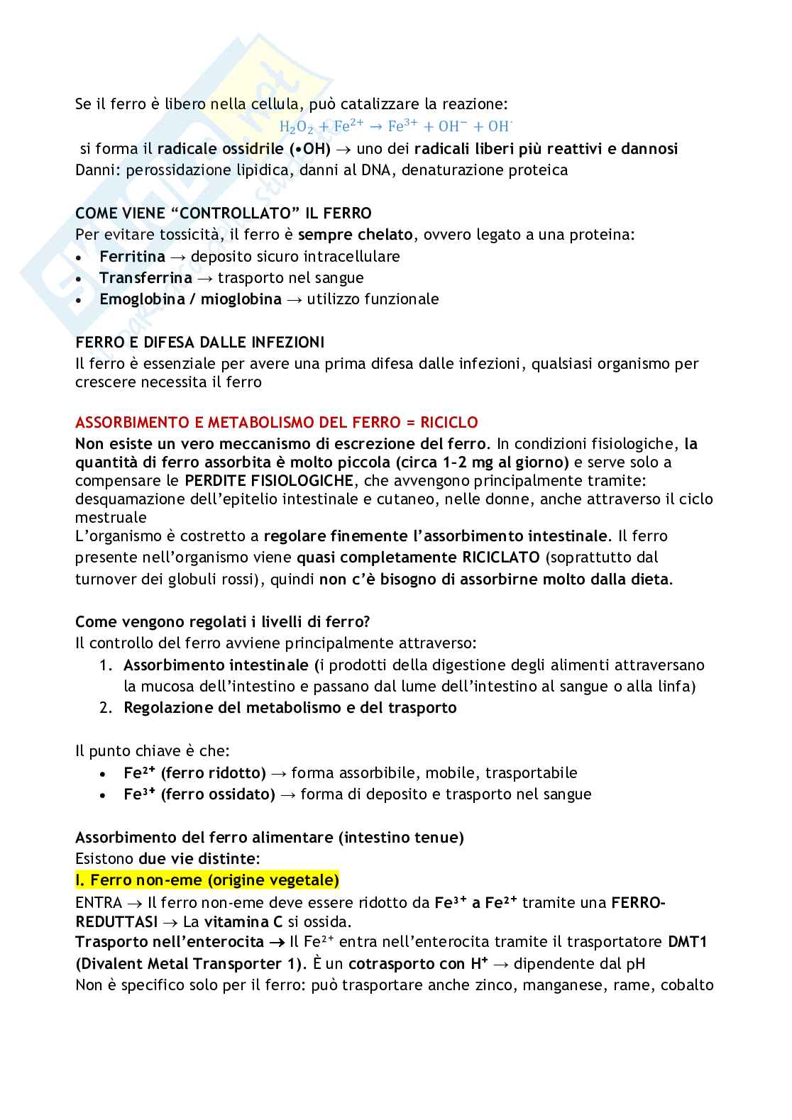 Biochimica degli alimenti e della nutrizione  Pag. 71