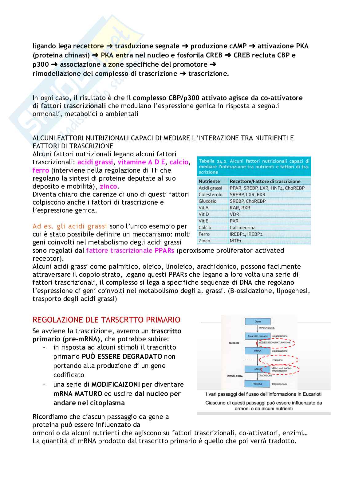 Biochimica degli alimenti e della nutrizione  Pag. 91