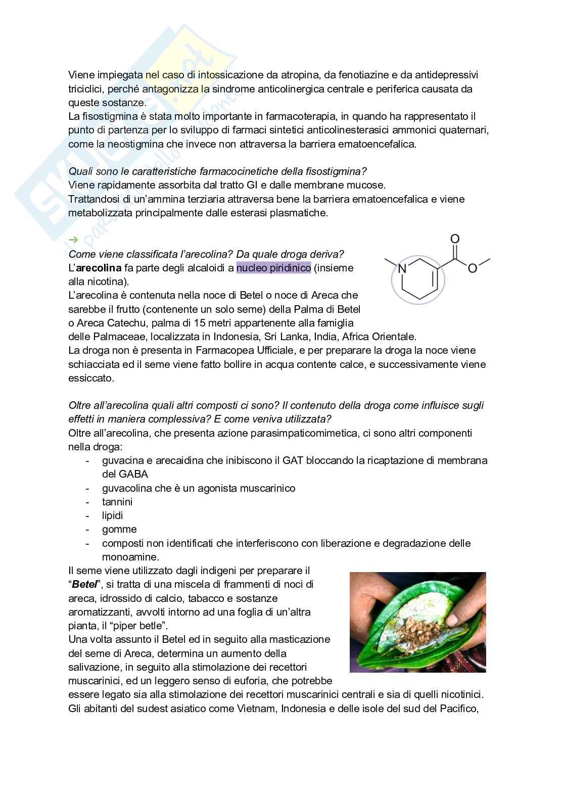 Appunti di Farmacognosia completi per preparazione esame  Pag. 16