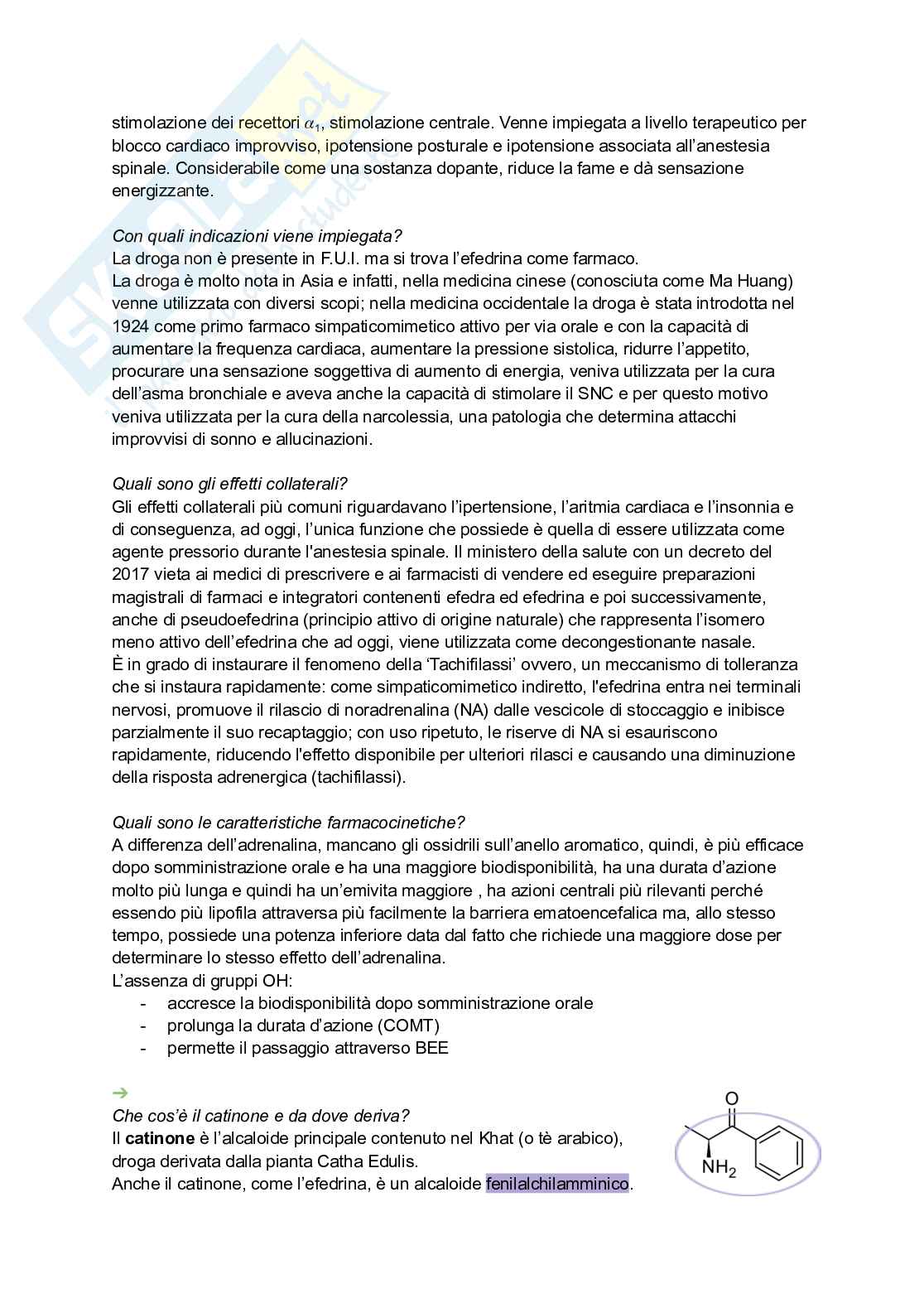 Appunti di Farmacognosia completi per preparazione esame  Pag. 26