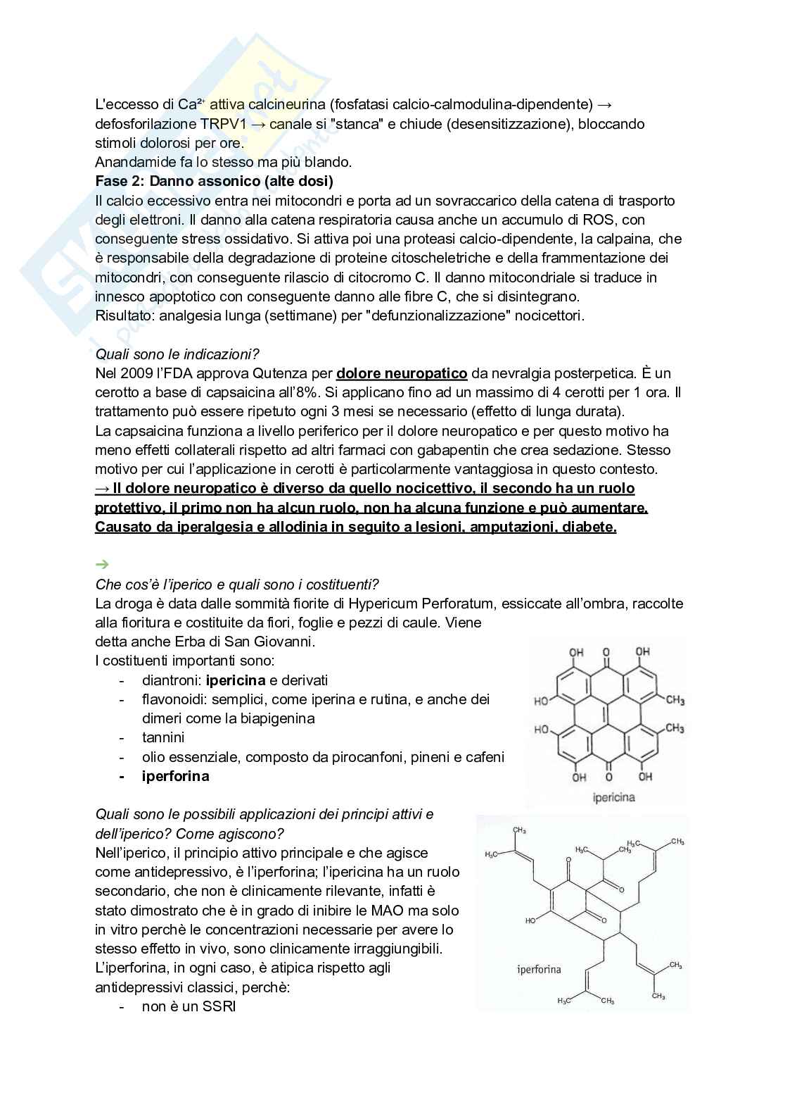 Appunti di Farmacognosia completi per preparazione esame  Pag. 56