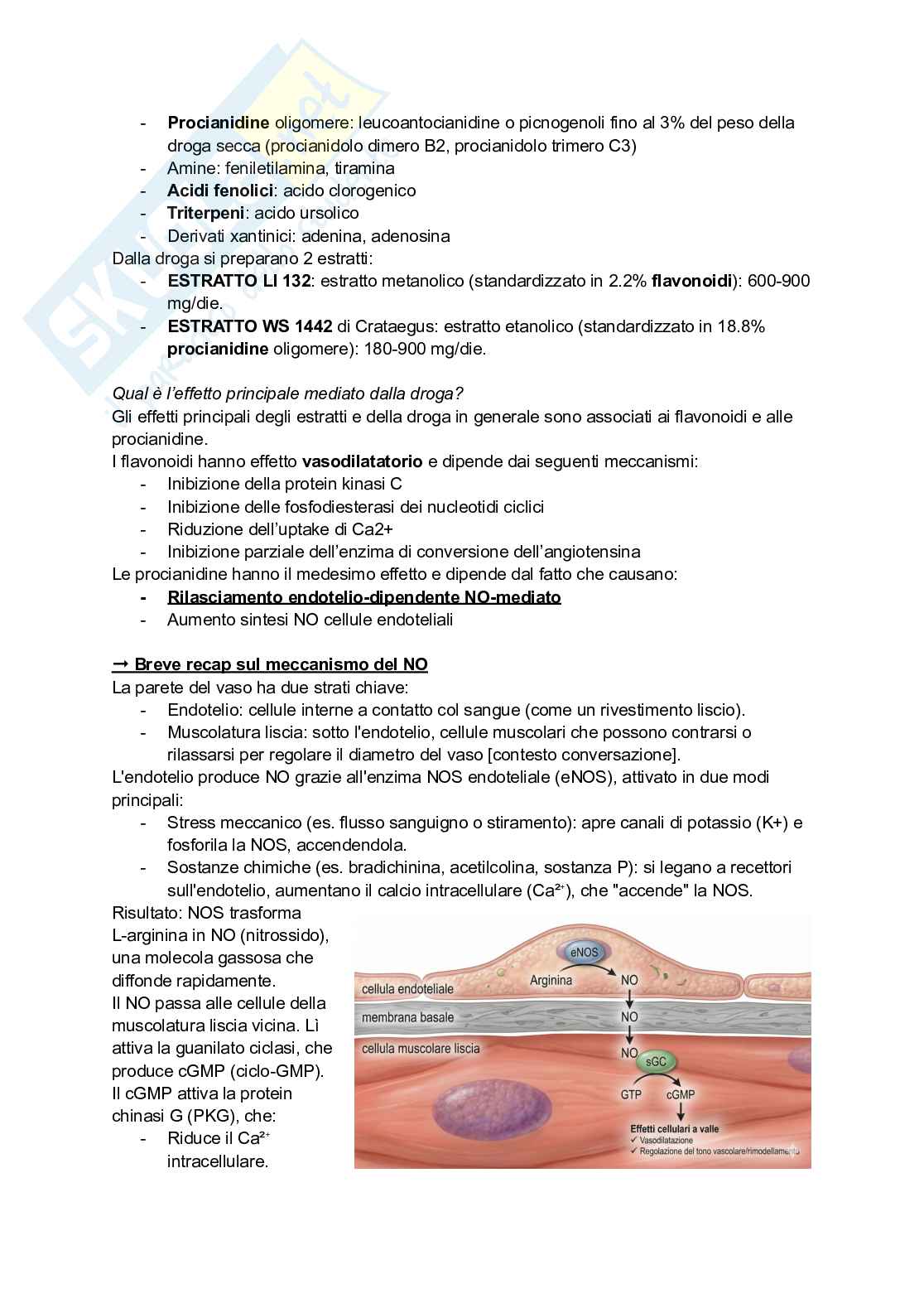 Appunti di Farmacognosia completi per preparazione esame  Pag. 71