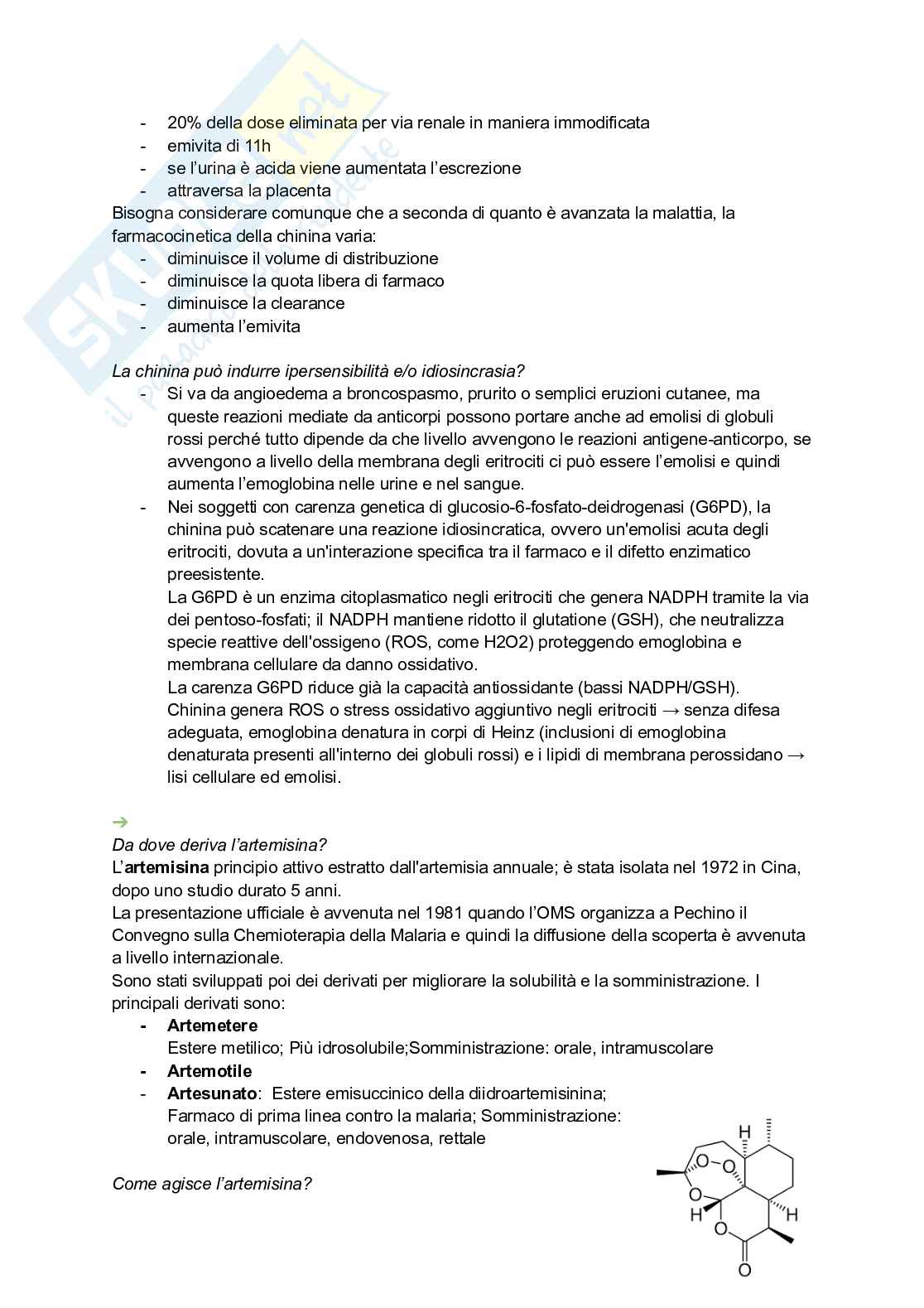 Appunti di Farmacognosia completi per preparazione esame  Pag. 76