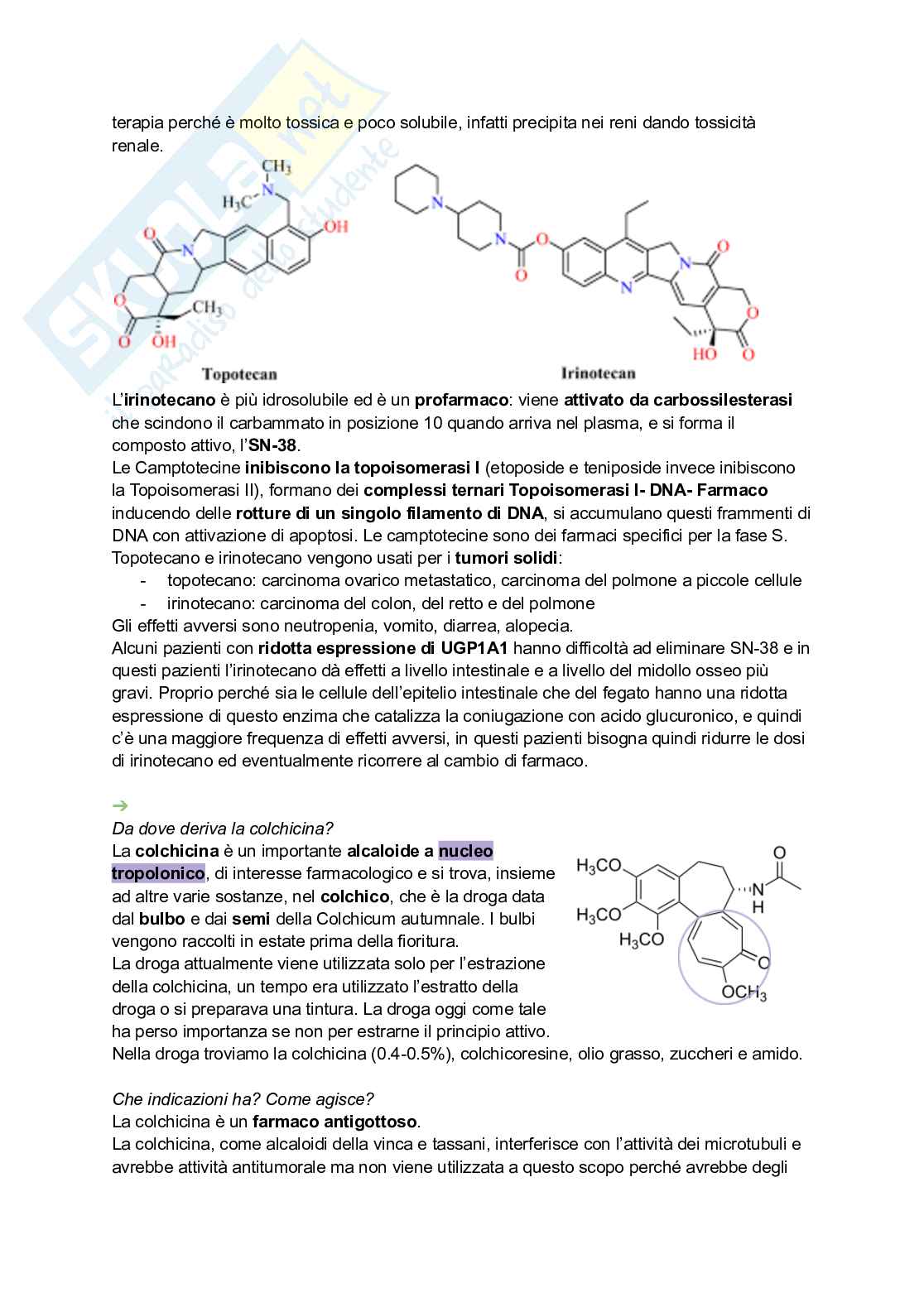 Appunti di Farmacognosia completi per preparazione esame  Pag. 81