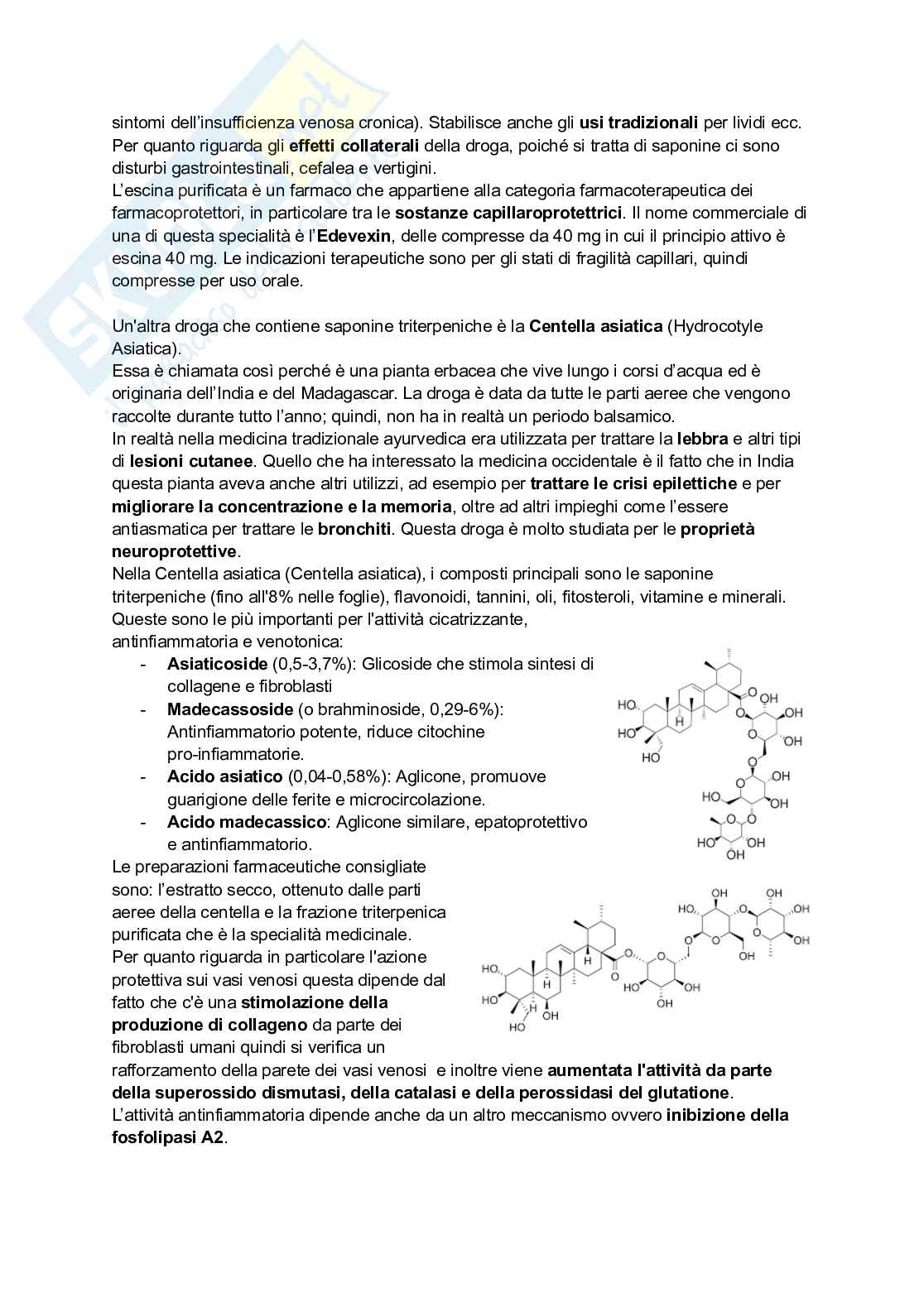 Appunti di Farmacognosia completi per preparazione esame  Pag. 91