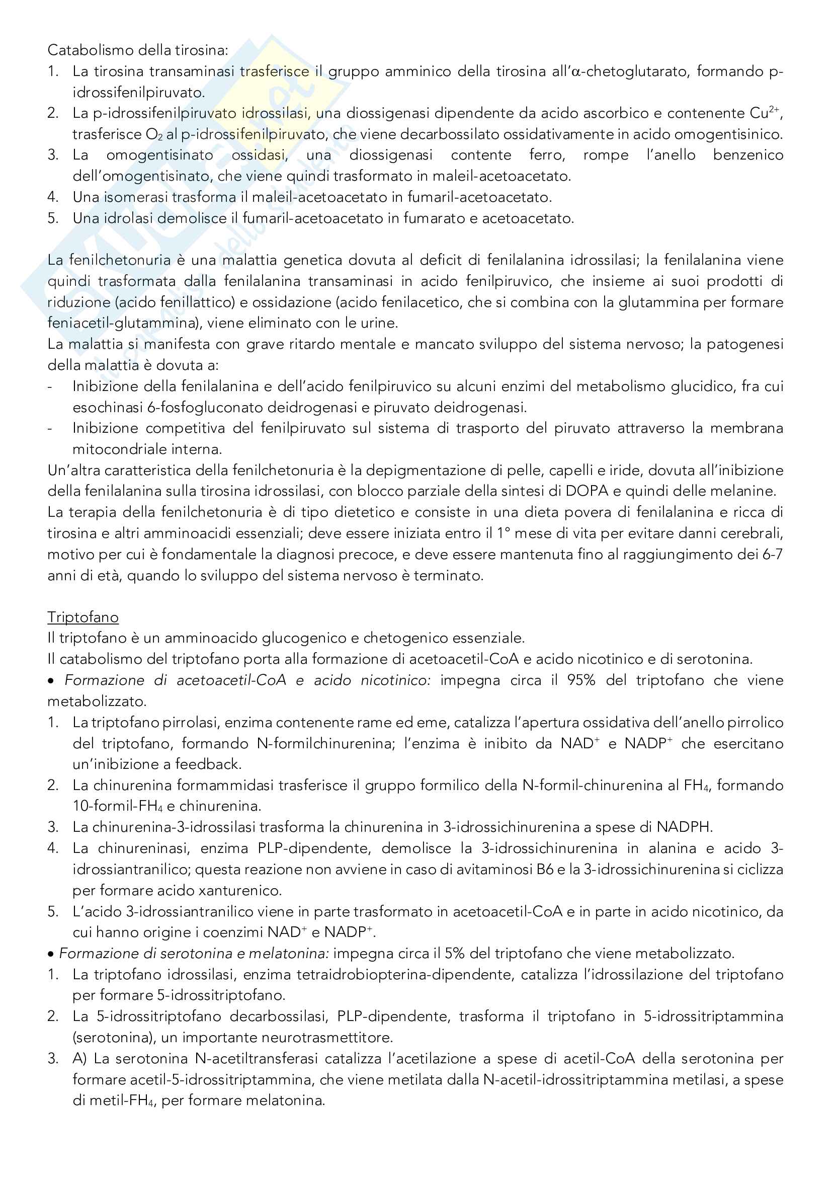 Biochimica metabolica Pag. 31