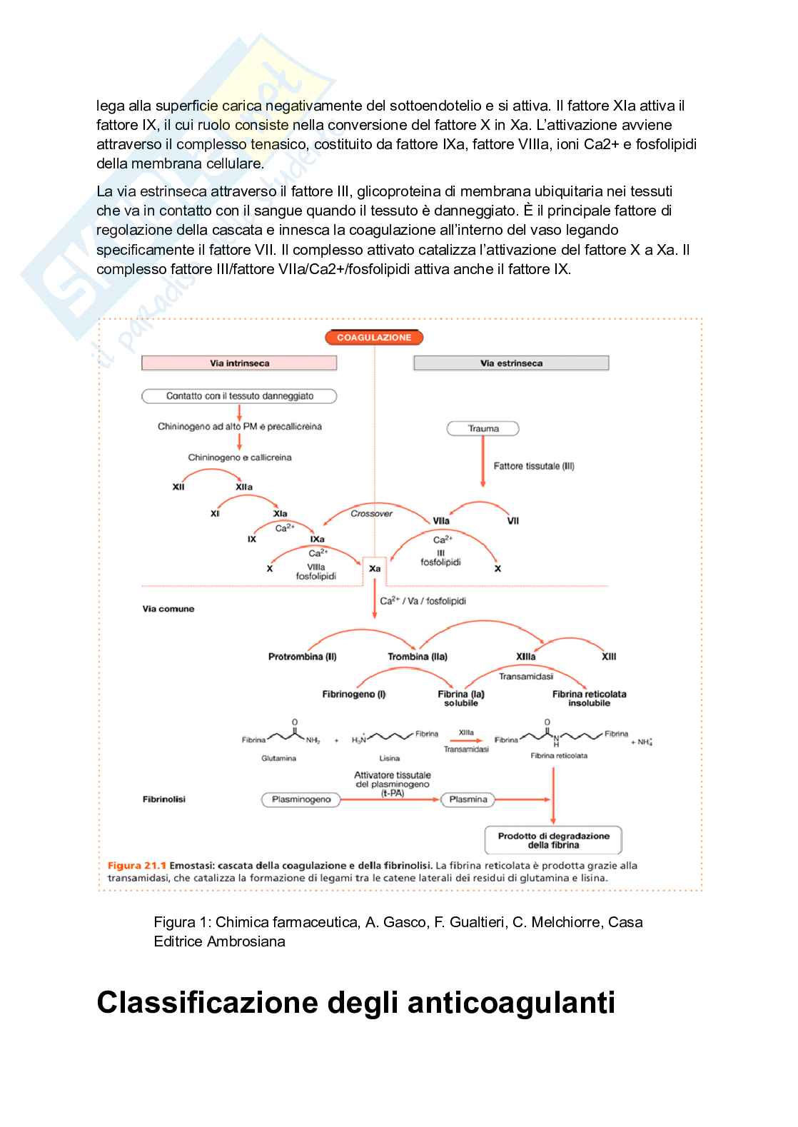 Riassunto esame Chimica farmaceutica ii, Prof. Marucci Gabriella, libro consigliato Chimica farmaceutica, Gasco, Gualtieri, Melchiorre Pag. 2