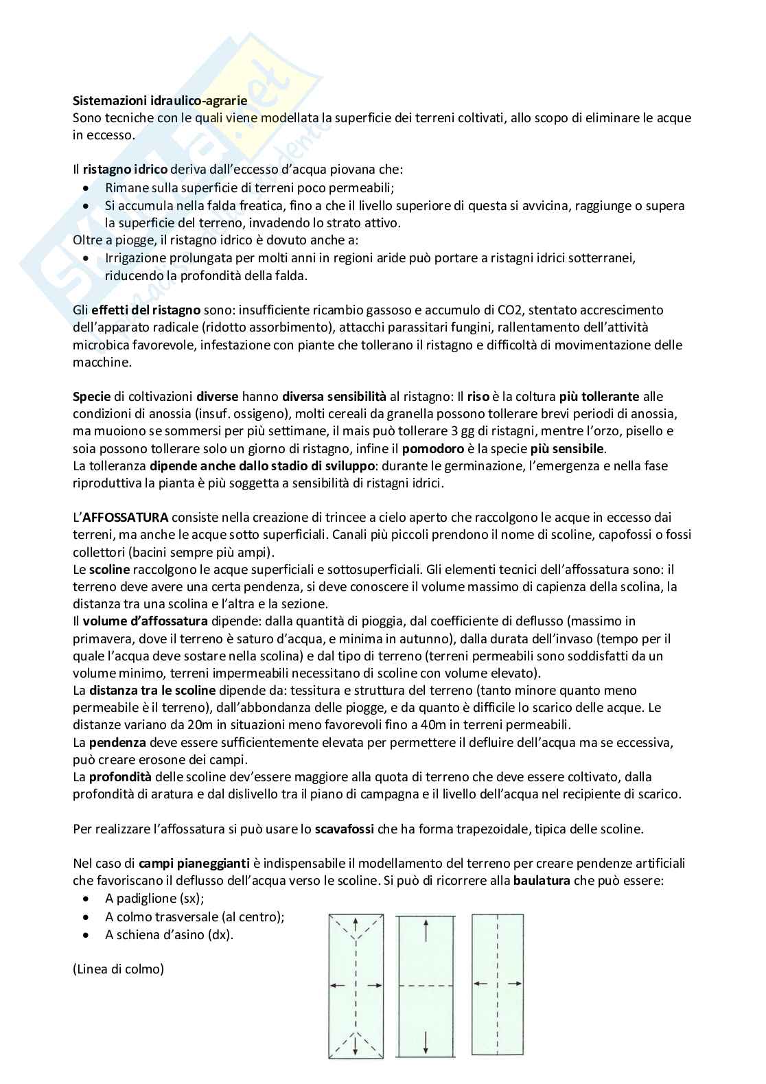 Produzioni vegetali Pag. 41