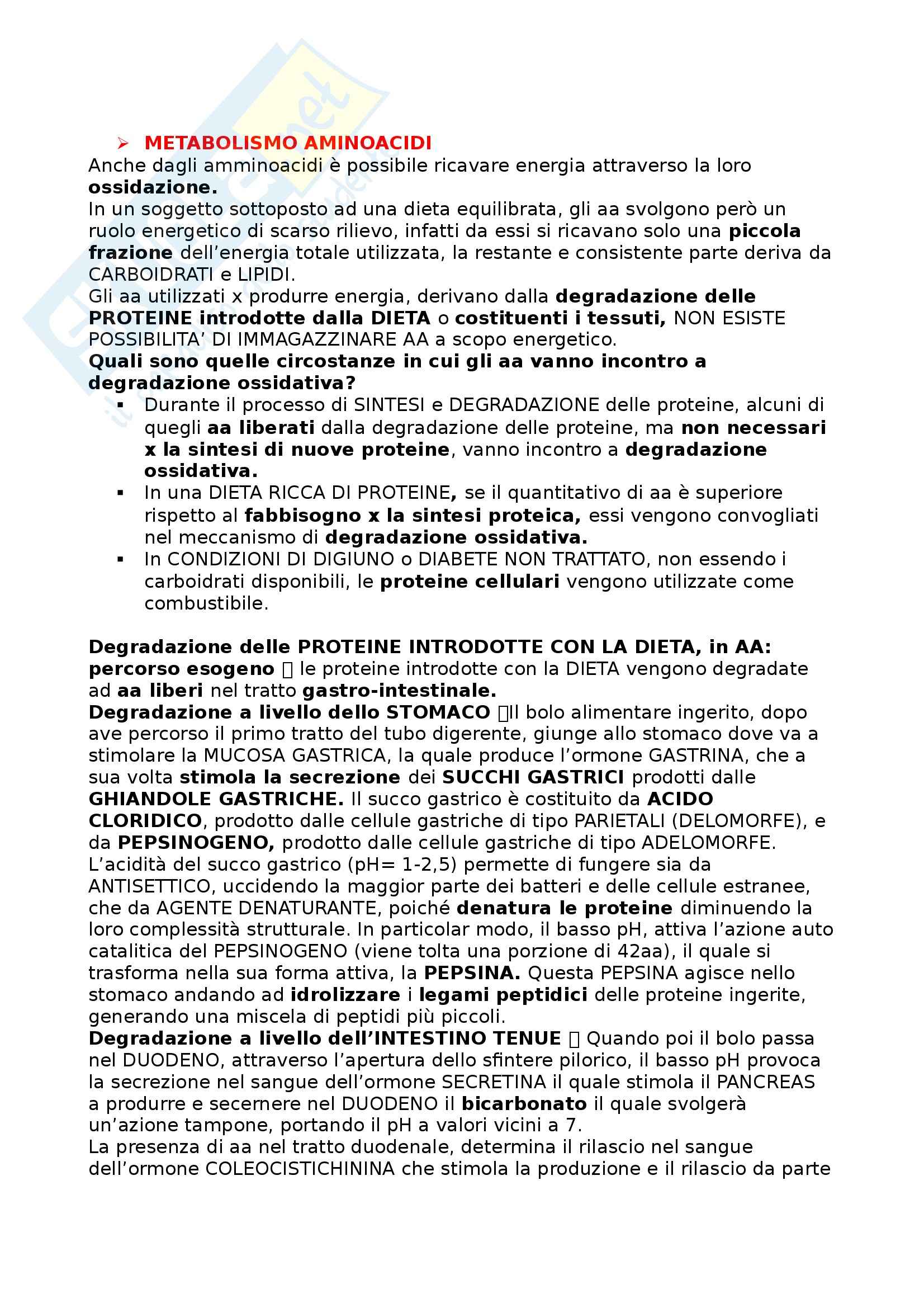 Biochimica II - Appunti Pag. 26