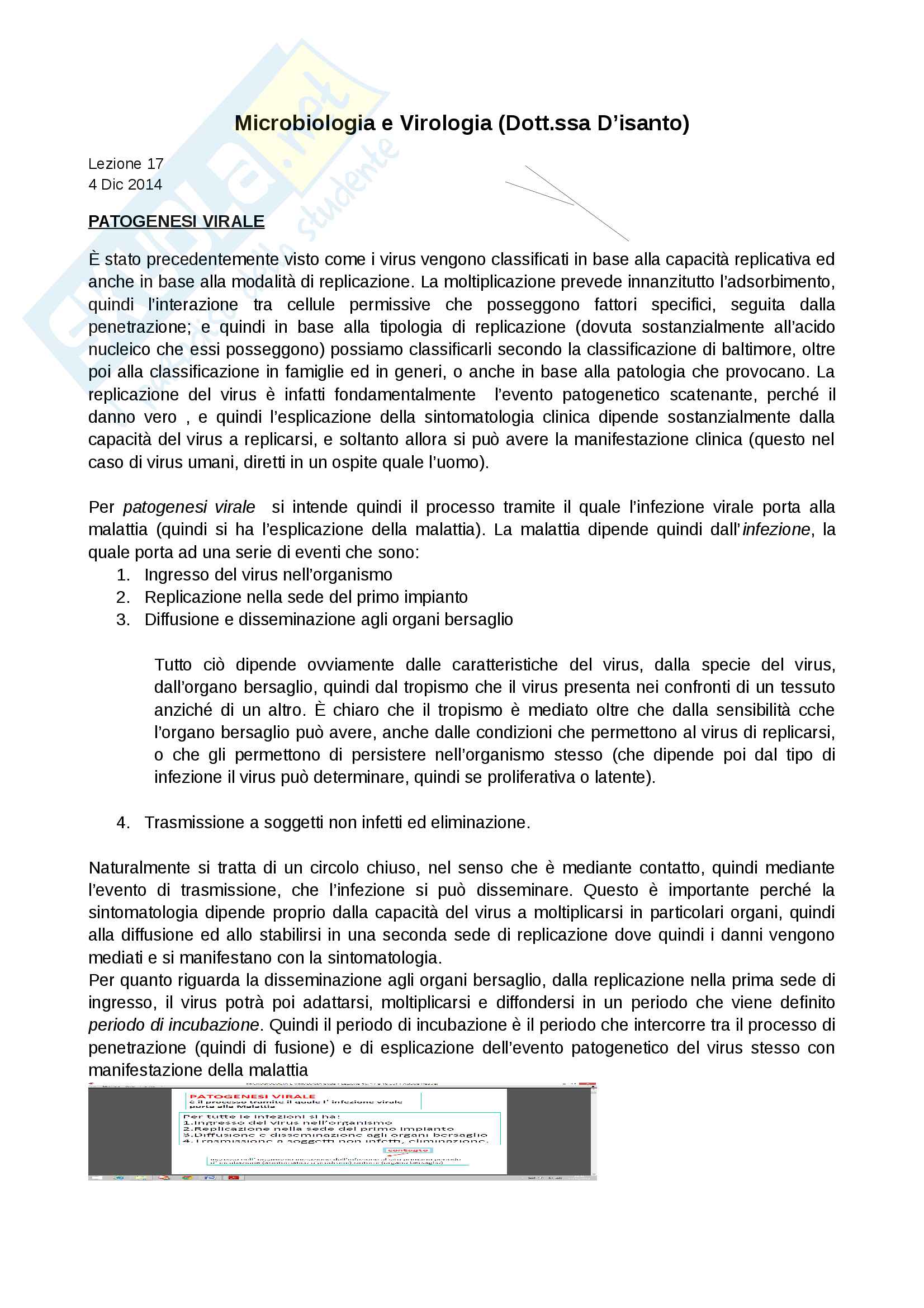 Patogenesi virale: Lezione 3 Pag. 1