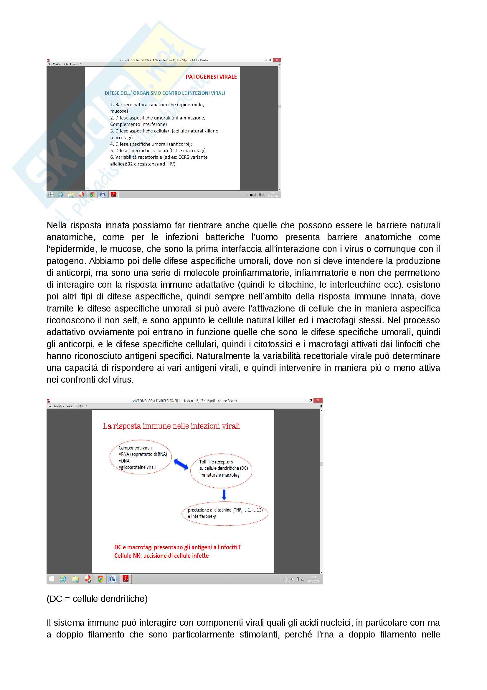 Patogenesi virale: Lezione 3 Pag. 11