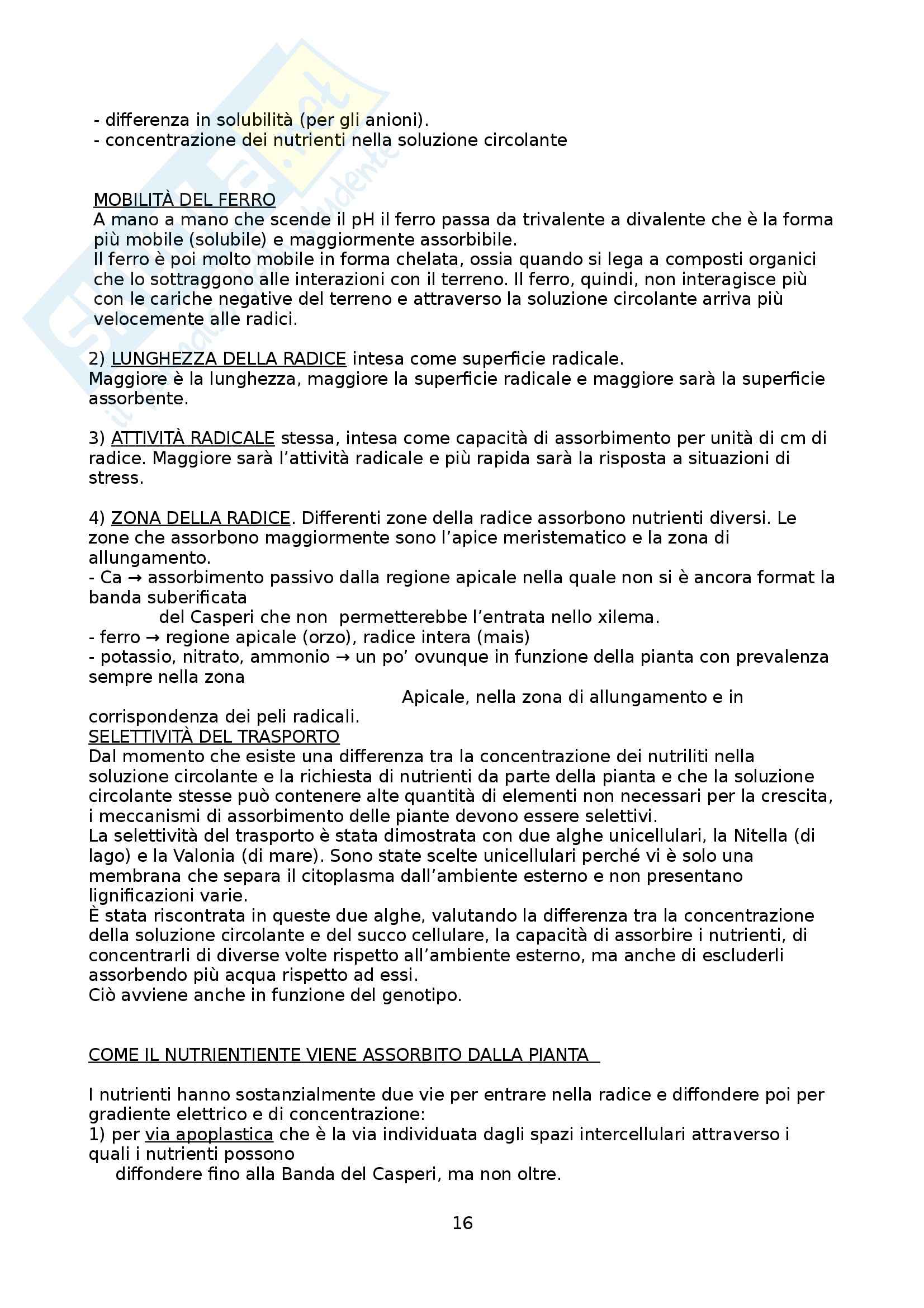 Riassunto esame Fertilità e nutrizione delle piante, prof. Saccomani Pag. 16