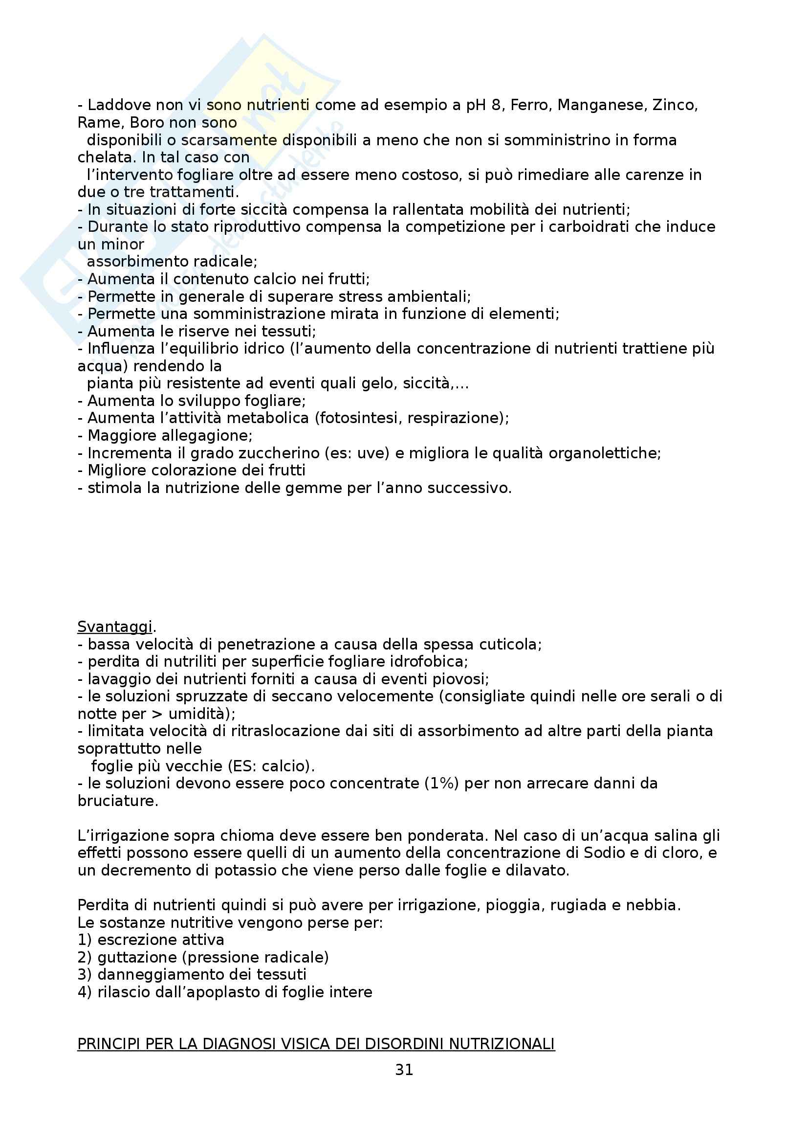 Riassunto esame Fertilità e nutrizione delle piante, prof. Saccomani Pag. 31