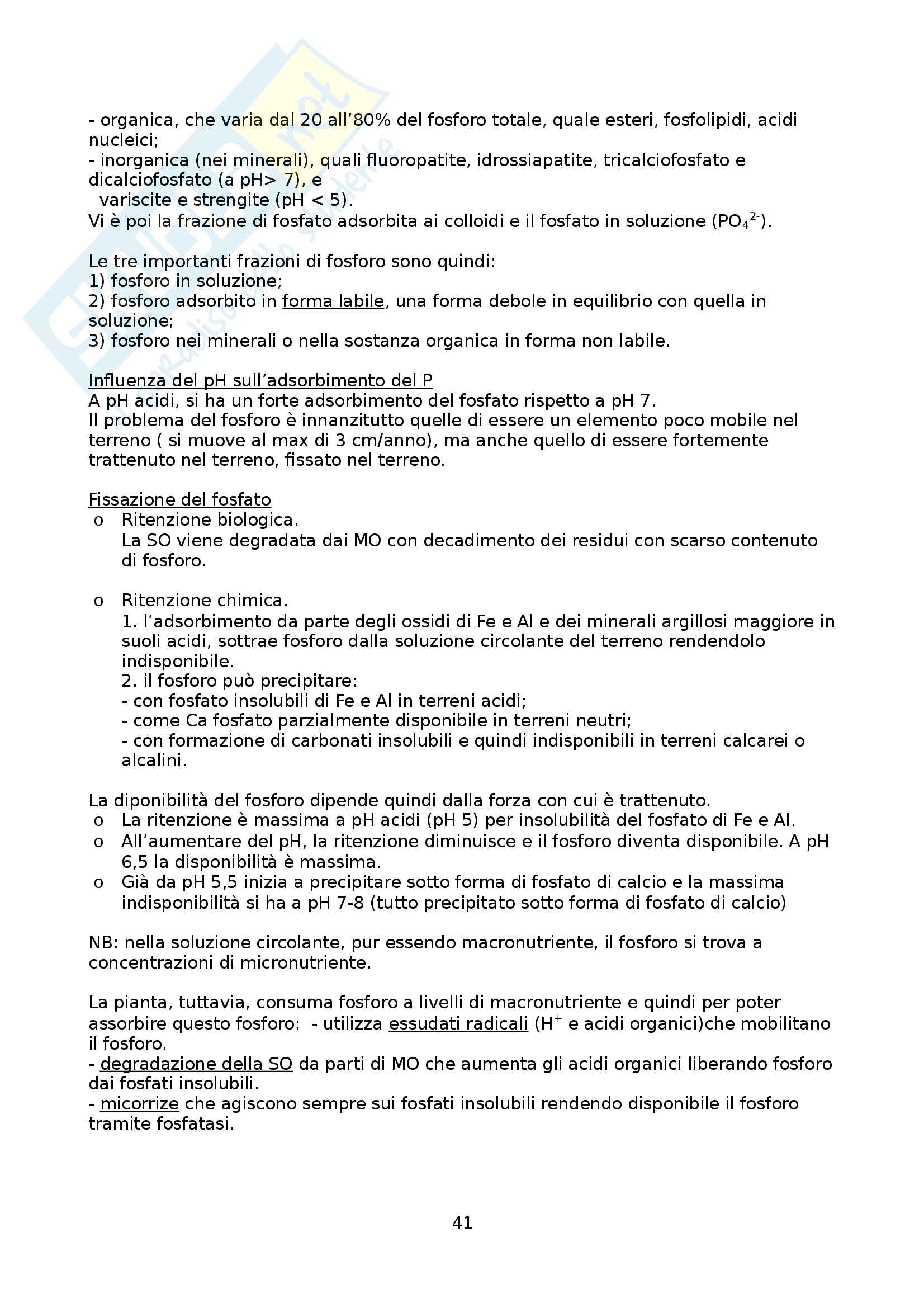 Riassunto esame Fertilità e nutrizione delle piante, prof. Saccomani Pag. 41